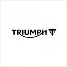 TRIUMPH(9)