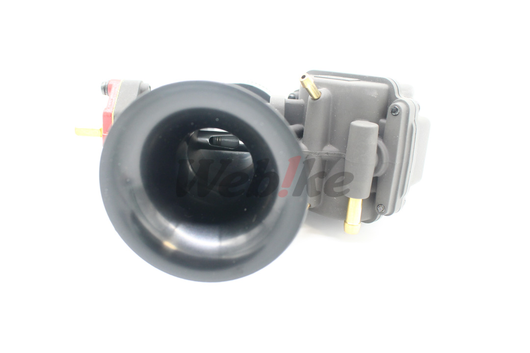 YD-MJN28 Carburetor without manifold_特寫