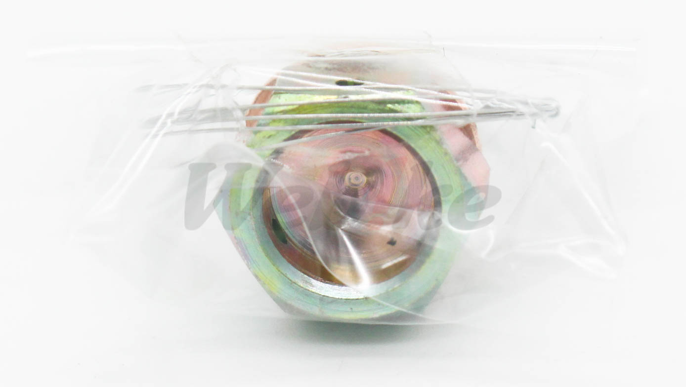 保險鋼絲卸油螺絲 CBR1000RR (20-21) 等車款_特寫