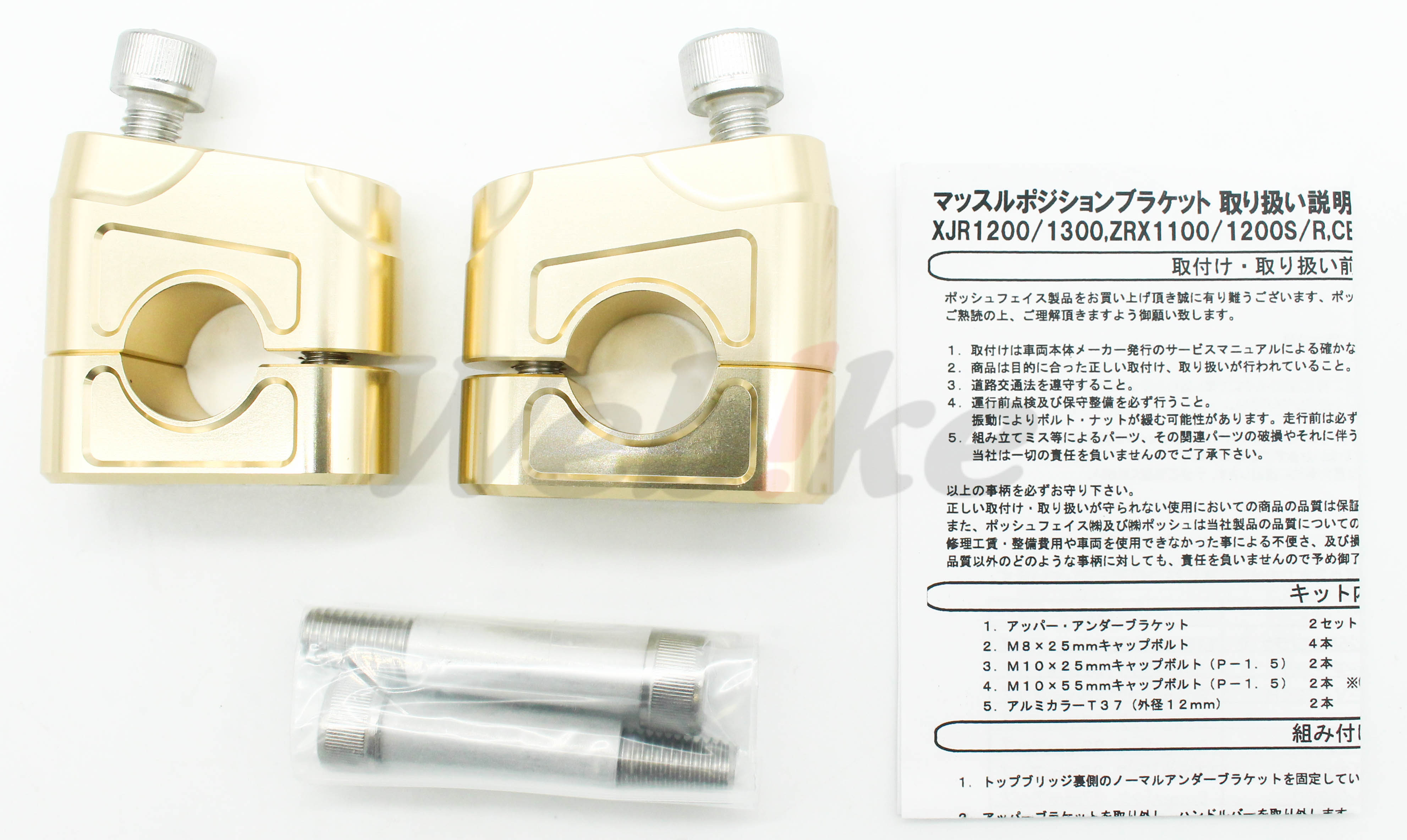 Muscle Low Bracket_全景