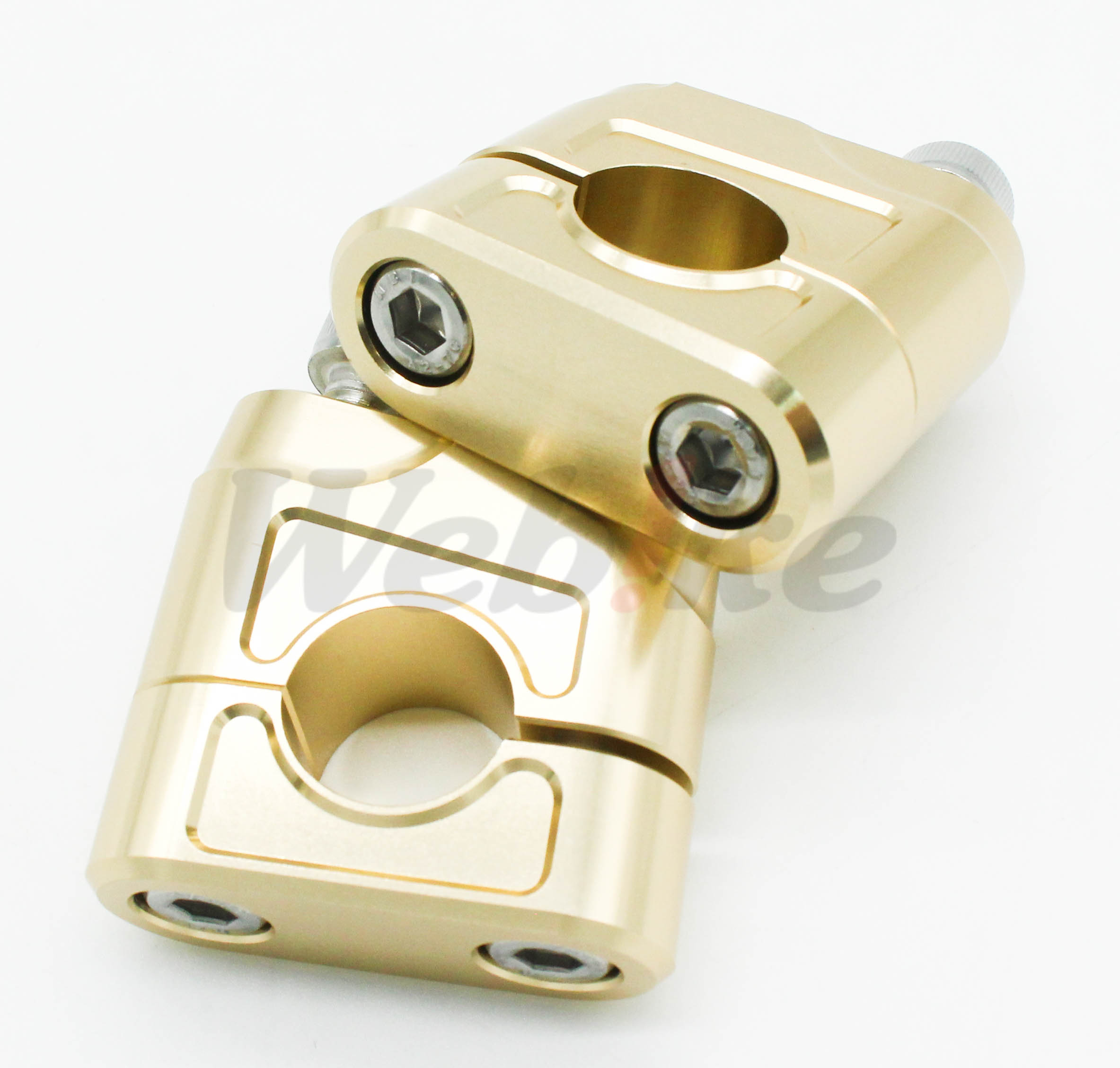 Muscle Low Bracket_特寫