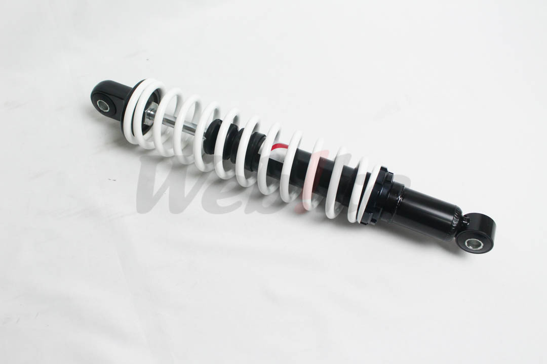 Rear Shock Absorber_特寫