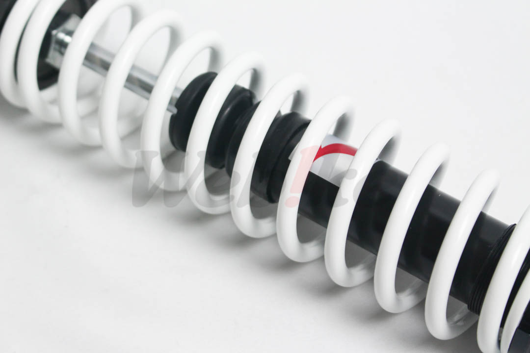 Rear Shock Absorber_特寫