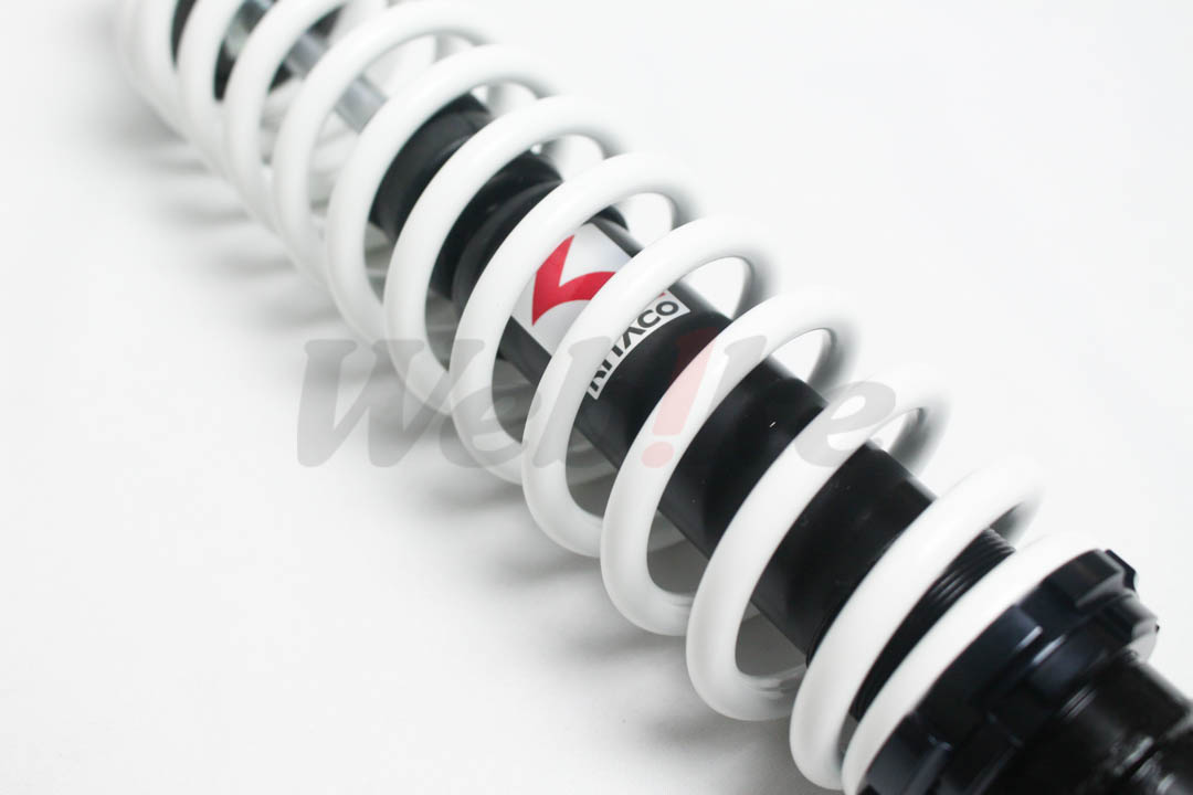 Rear Shock Absorber_特寫