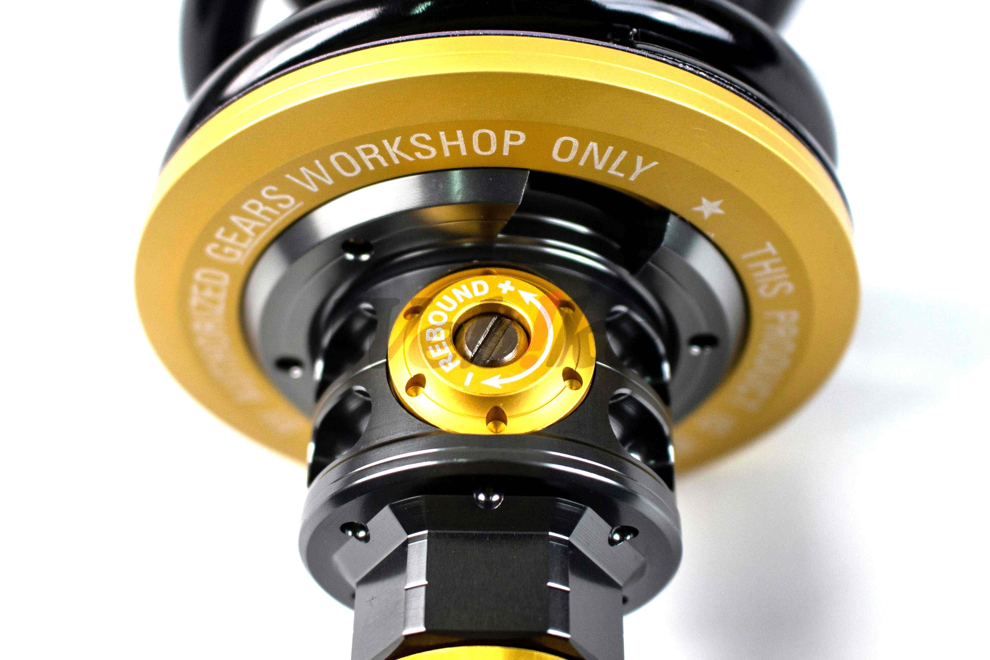 H2 后避震器 RYKER 900 / RYKER 600_特写