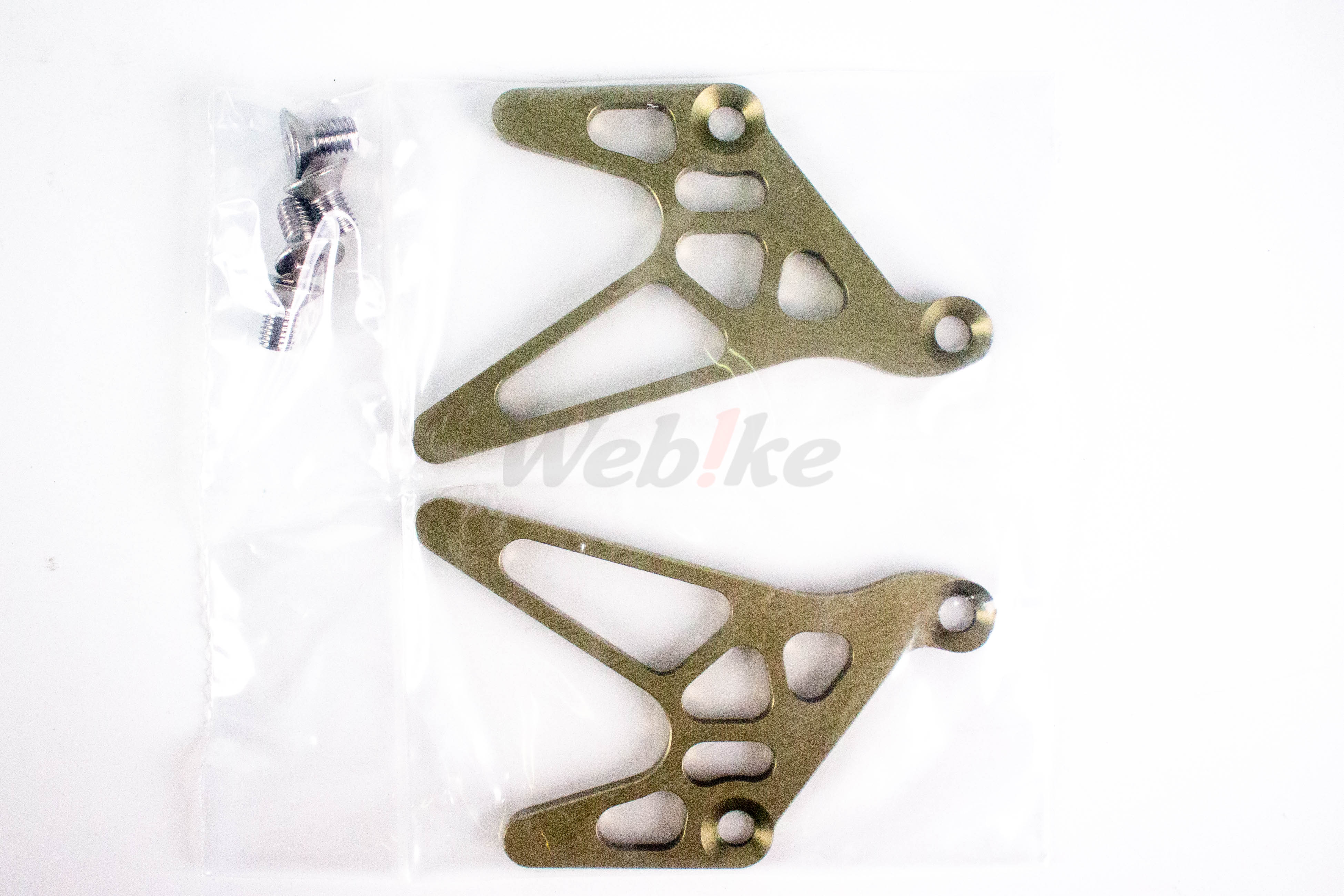 Swingarm Type 9_特寫