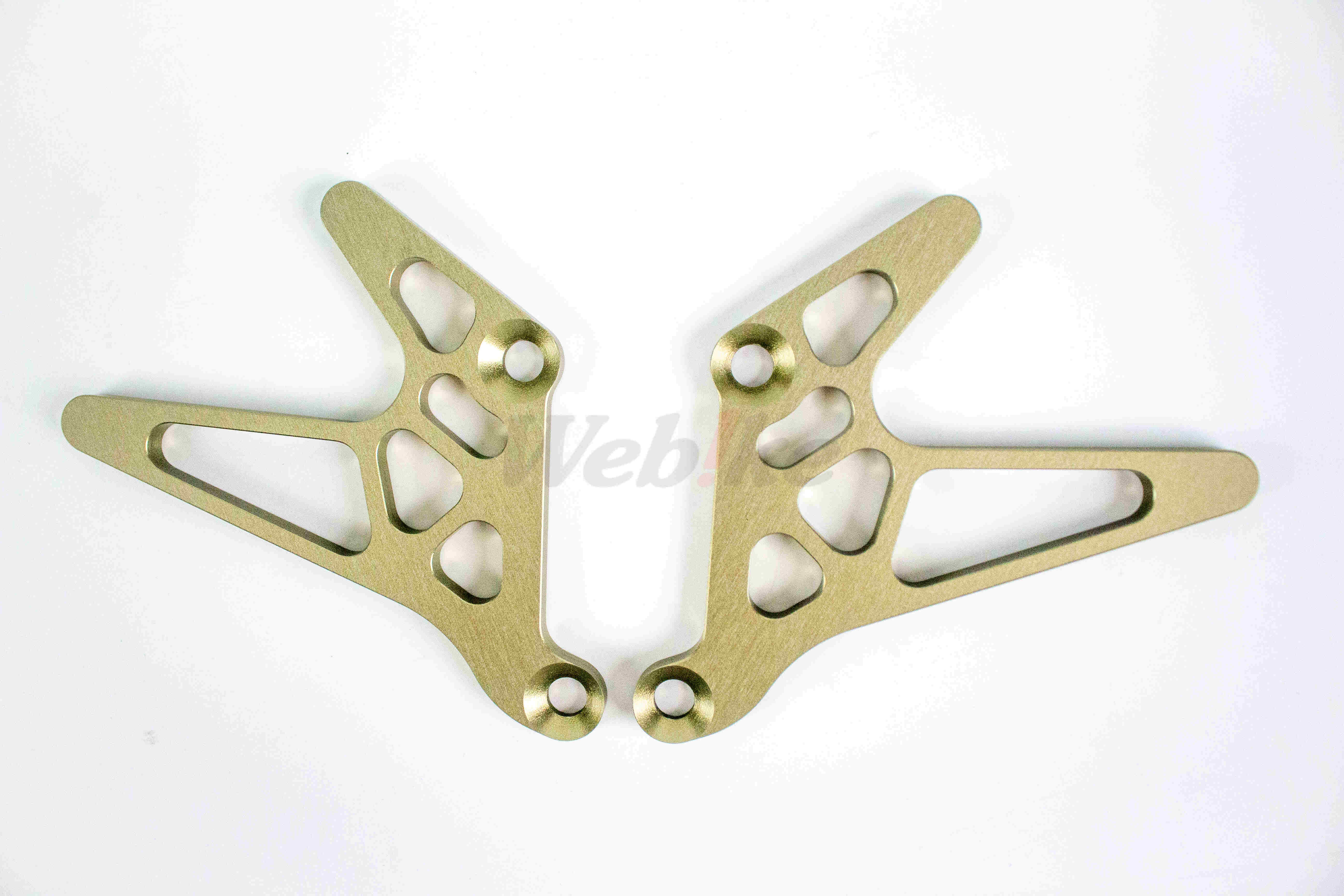 Swingarm Type 9_特寫