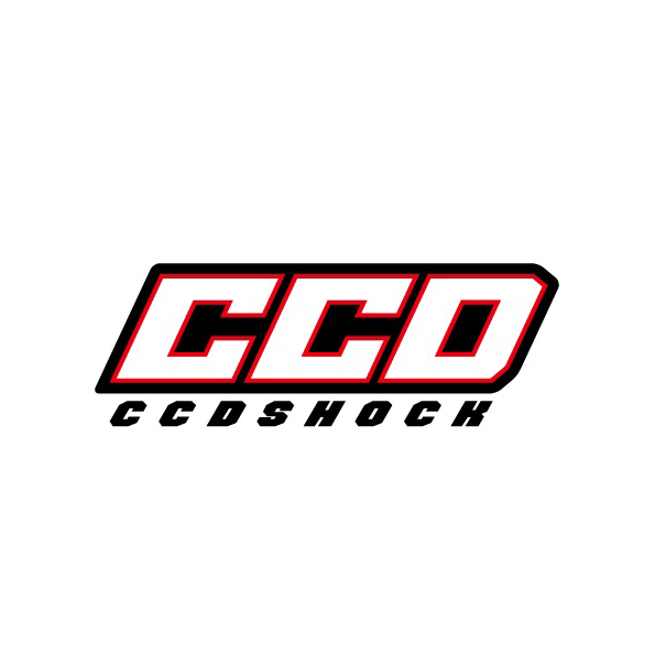 CCD Factory(24)