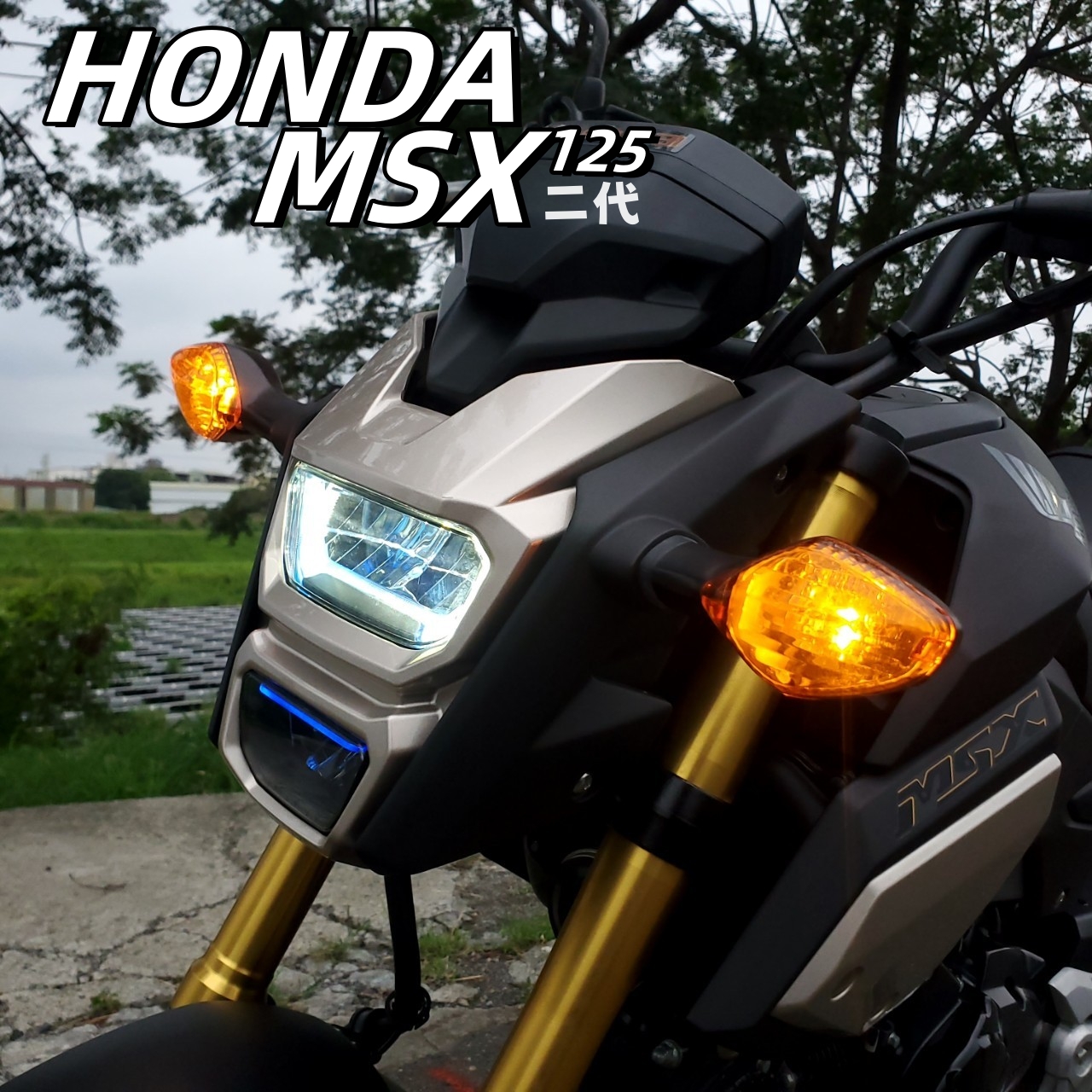【飛翔國際】HONDA MSX125 - 「Webike-摩托車市」 售 HONDA MSX125 二代 小車 省油 MSX二代