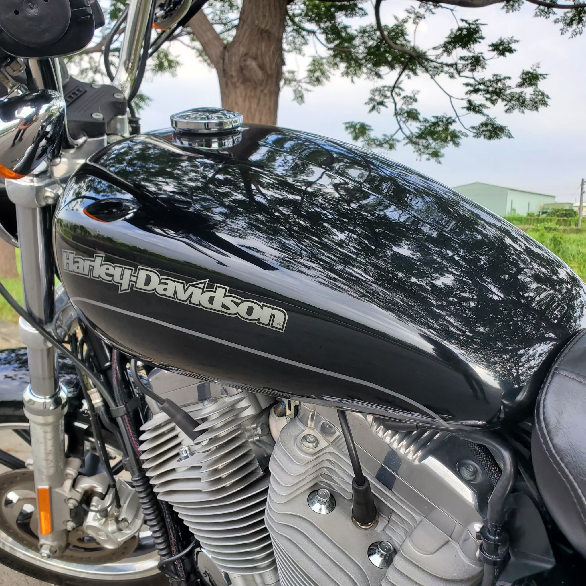 HARLEY-DAVIDSON XL883L - 中古/二手車出售中 售 2014 哈雷 XL883L 883L 美式機車 Sportster 883 Iron | 飛翔國際