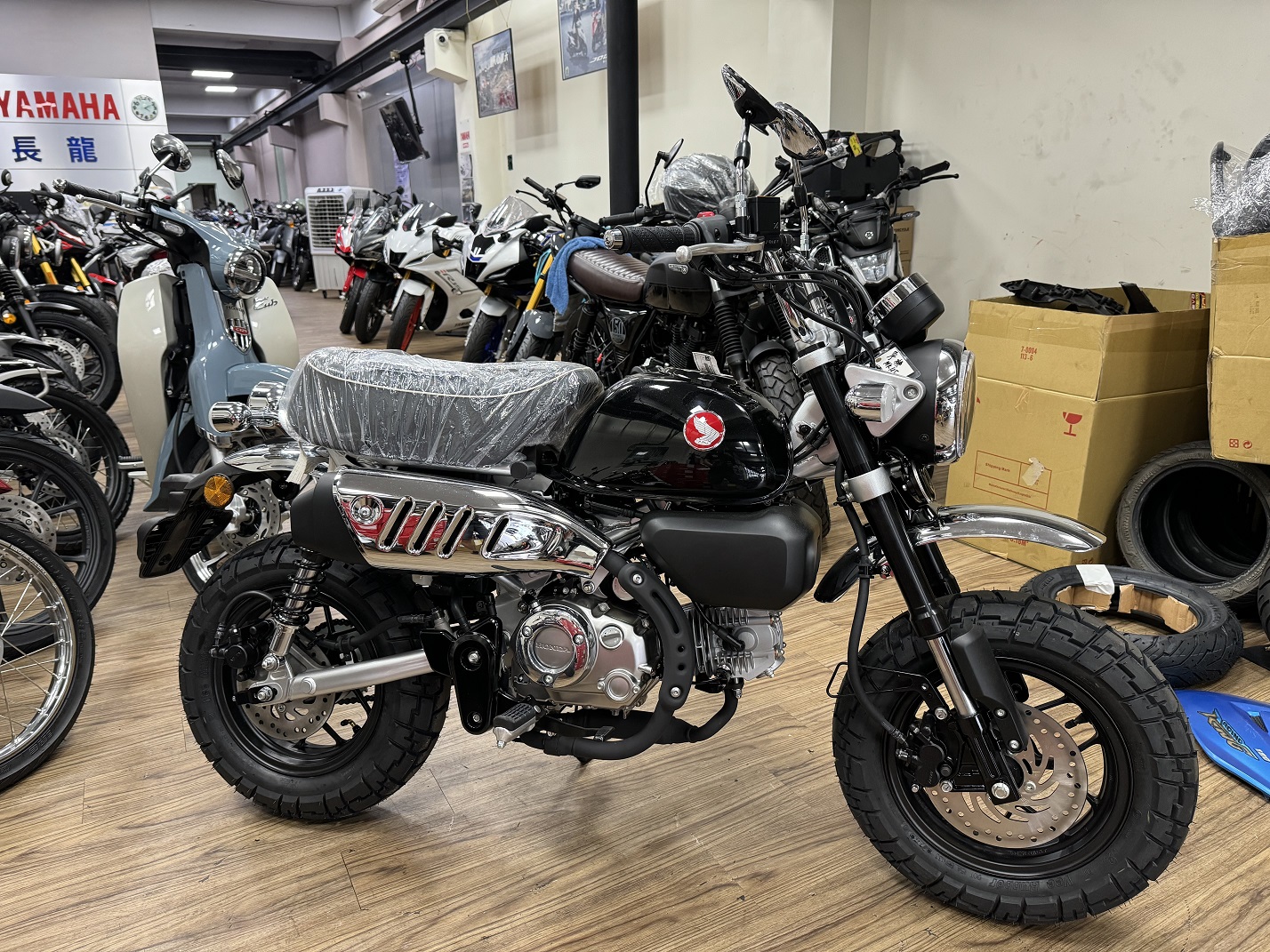 HONDA Monkey 125新車出售中 【新竹長龍車業】HONDA 本田 2025年式  MONKEY 125 | 新竹長龍車業行