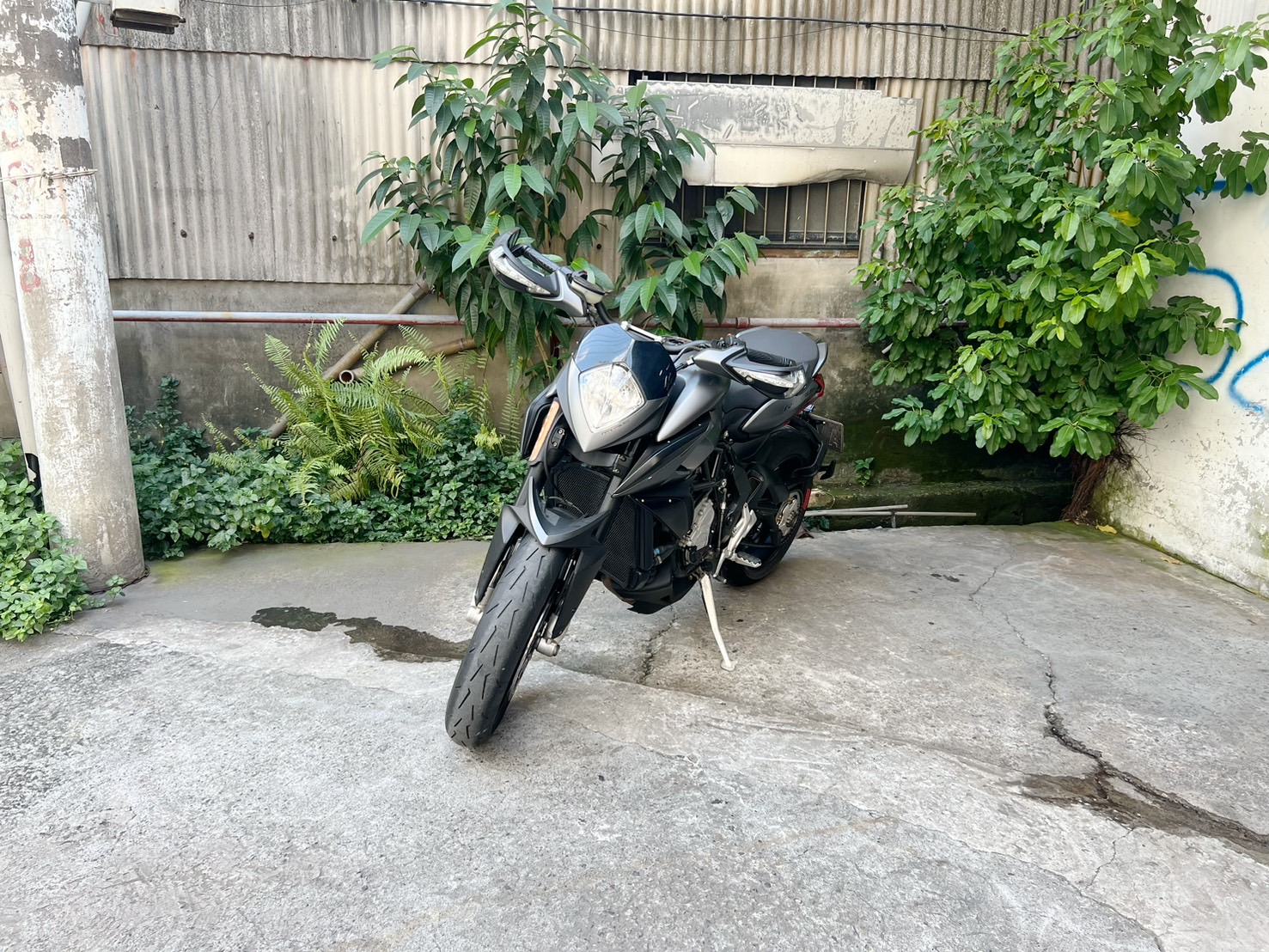 MV AGUSTA RIVALE800 - 中古/二手車出售中 MV Rivale800 | 大蔡