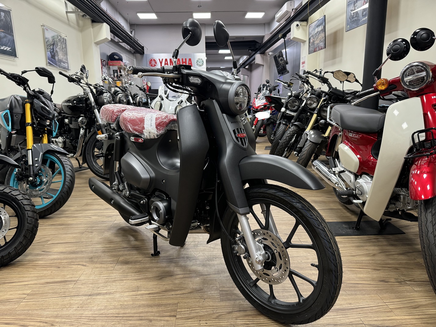 HONDA Super Cub C125新車出售中 【新竹長龍車業】HONDA 本田 2024 SUPER CUB C125 | 新竹長龍車業行