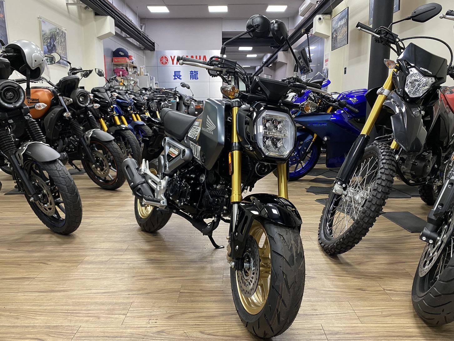 HONDA MSX125(GROM) - 中古/二手車出售中 【新竹長龍車業】HONDA 本田 MSX GROM 125 ABS | 新竹長龍車業行