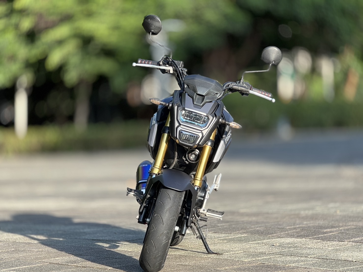 HONDA MSX125 - 中古/二手車出售中 Honda MSX 125 | 個人自售