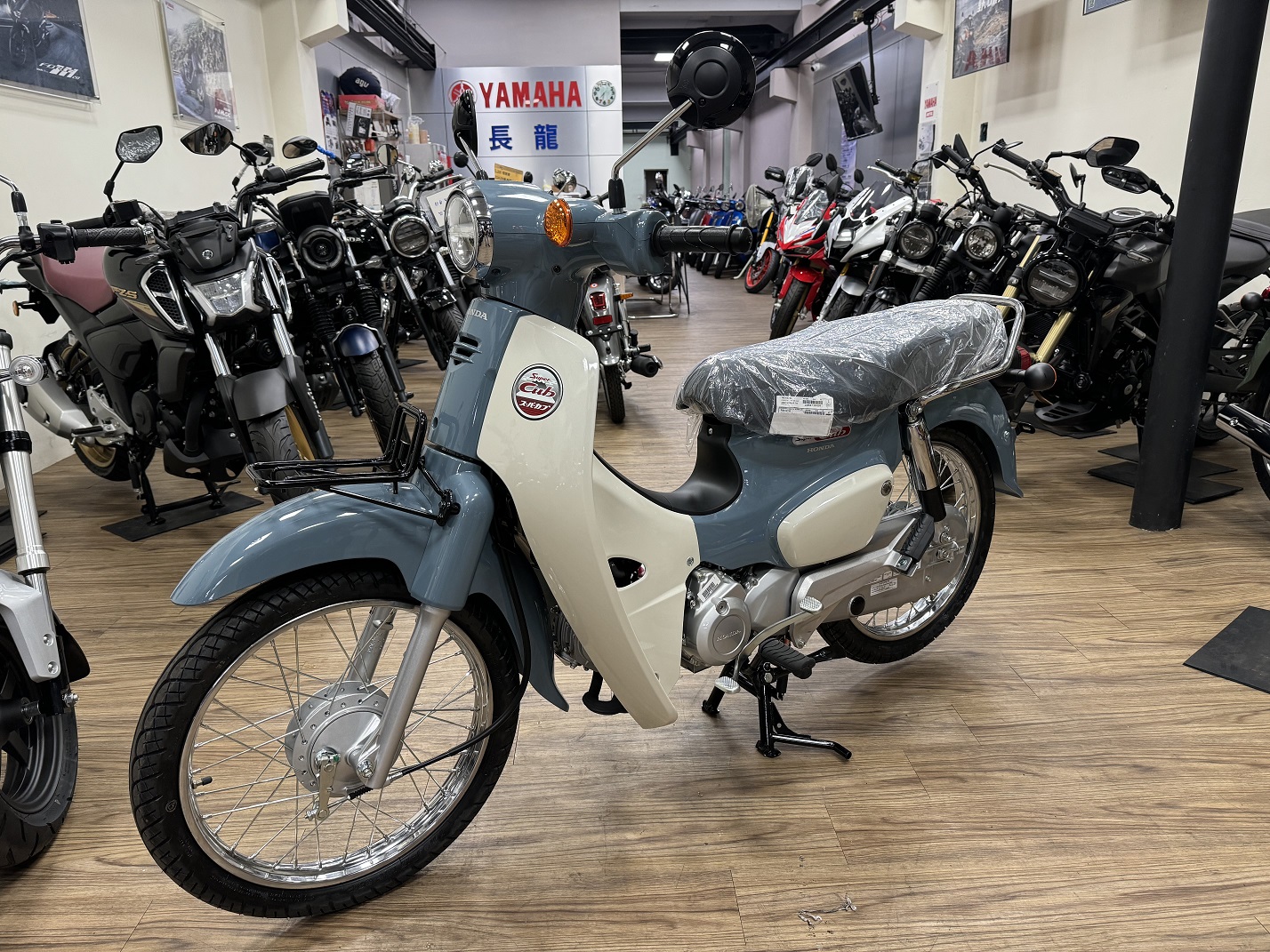 HONDA SuperCub 110新車出售中 【新竹長龍車業】HONDA 本田 2024 Super Cub 110 | 新竹長龍車業行