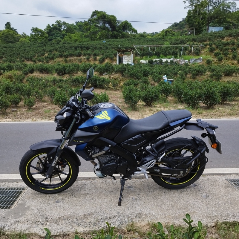 YAMAHA MT-15 - 中古/二手車出售中 【2019 YAMAHA MT-15】 | 翊帆國際重車