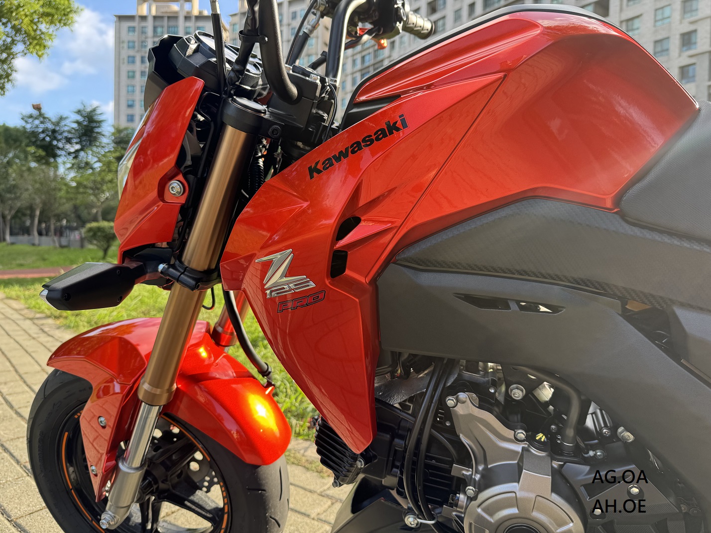 KAWASAKI Z125 Pro - 中古/二手車出售中 【新竹長龍車業】Kawasaki Z125 PRO | 新竹長龍車業行