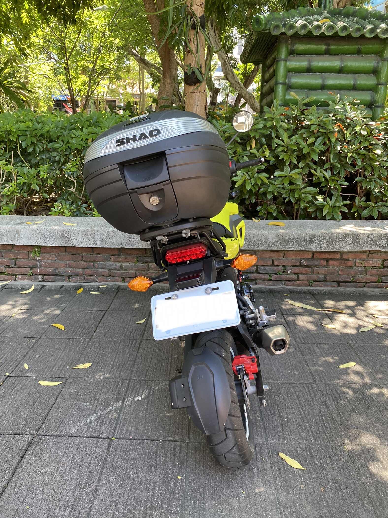 HONDA MSX125 - 中古/二手車出售中 HONDA MSX125 SF 2018 ABS 才騎3百公里 | 輪泰車業