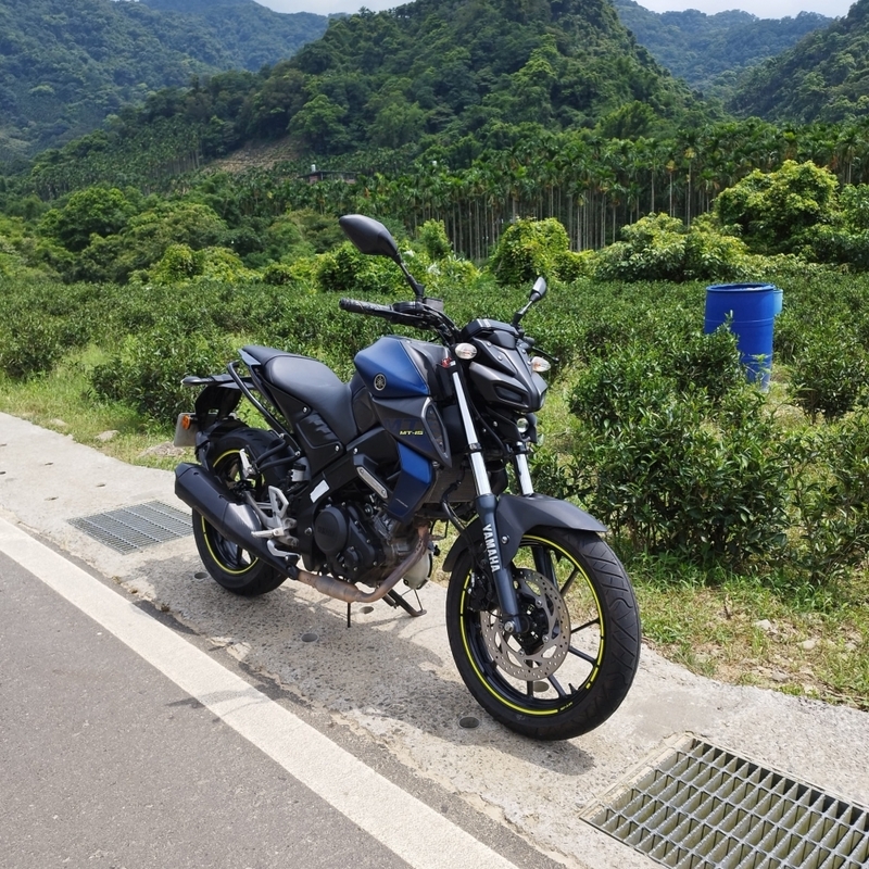 YAMAHA MT-15 - 中古/二手車出售中 【2019 YAMAHA MT-15】 | 翊帆國際重車