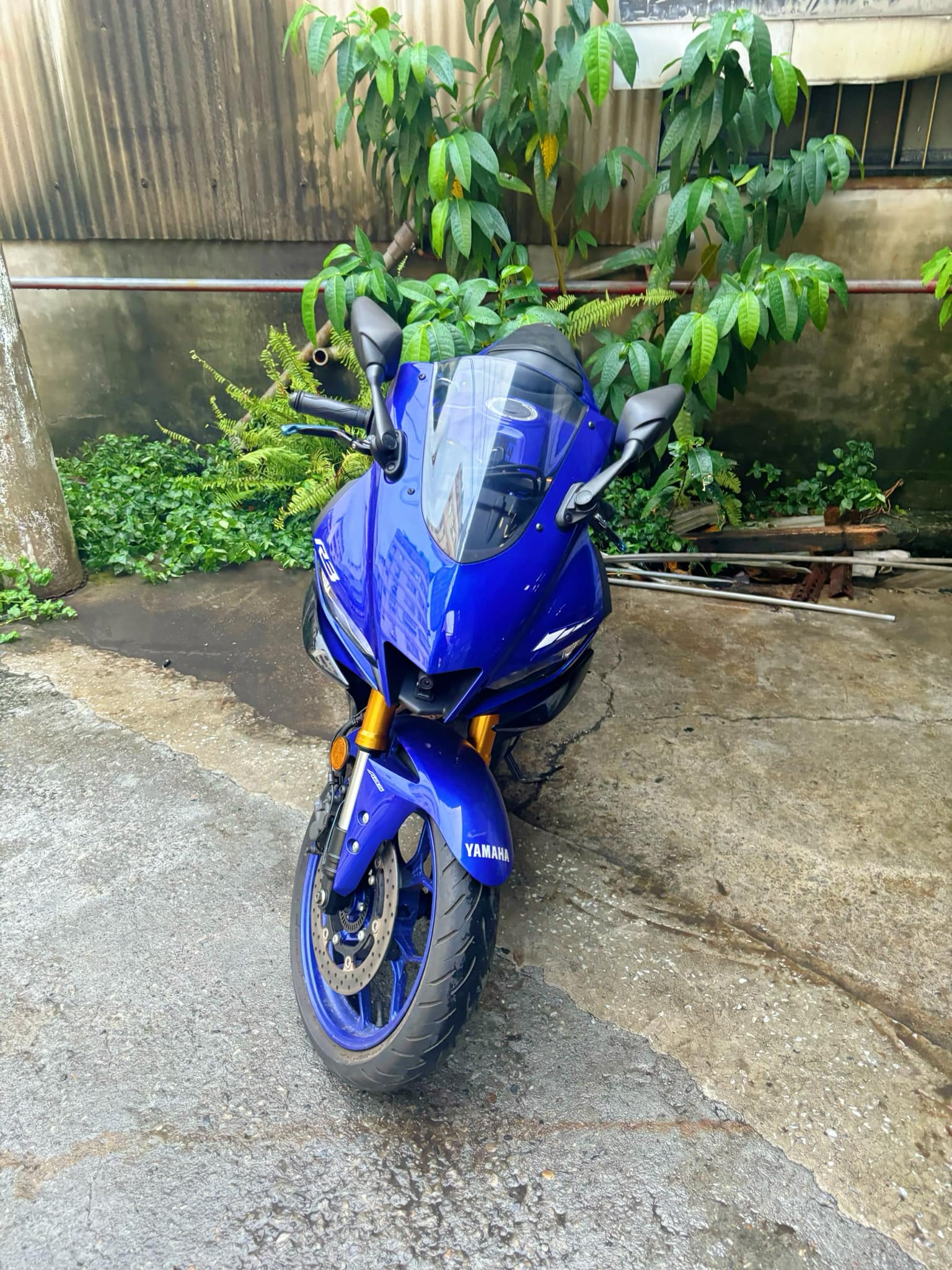 YAMAHA YZF-R3 - 中古/二手車出售中 YAMAHA R3 ABS | 個人自售