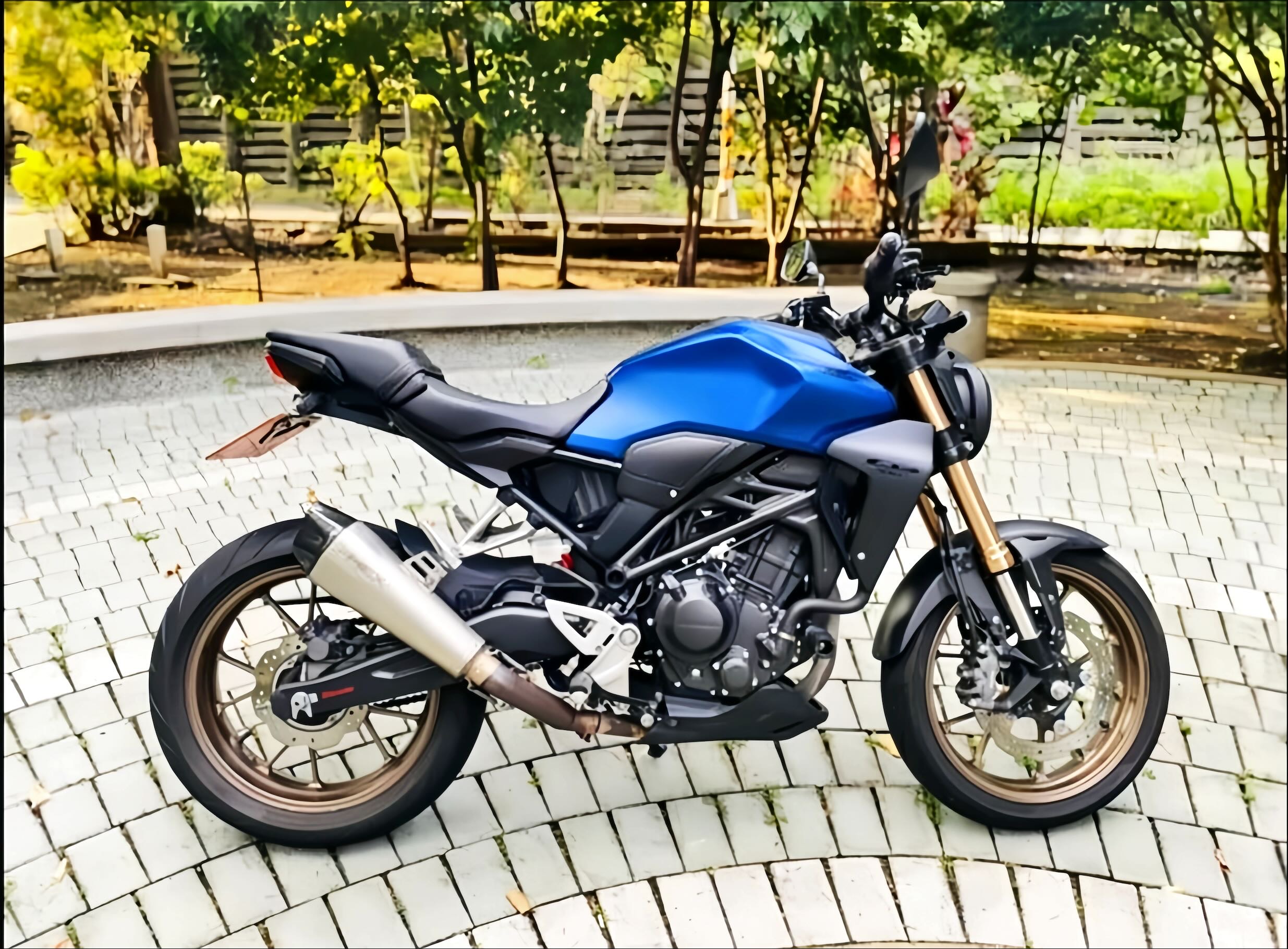 HONDA CB300R - 中古/二手車出售中 HONDA CB300R 2020領 黃牌打擋車 | 輪泰車業