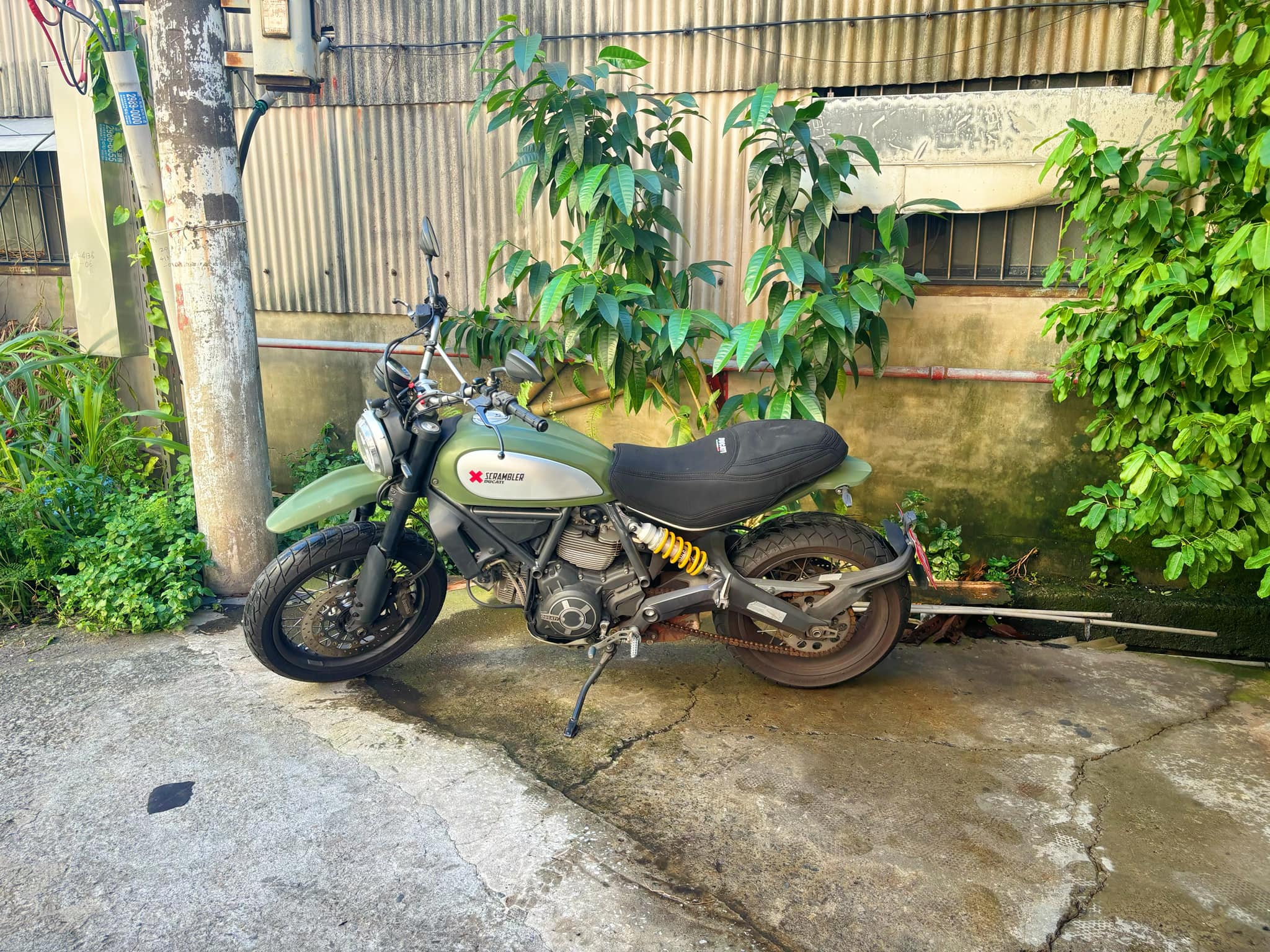 【個人自售】DUCATI SCRAMBLER [SCRAMBLER] - 「Webike-摩托車市」 DUCATI SCRAMBLER 800