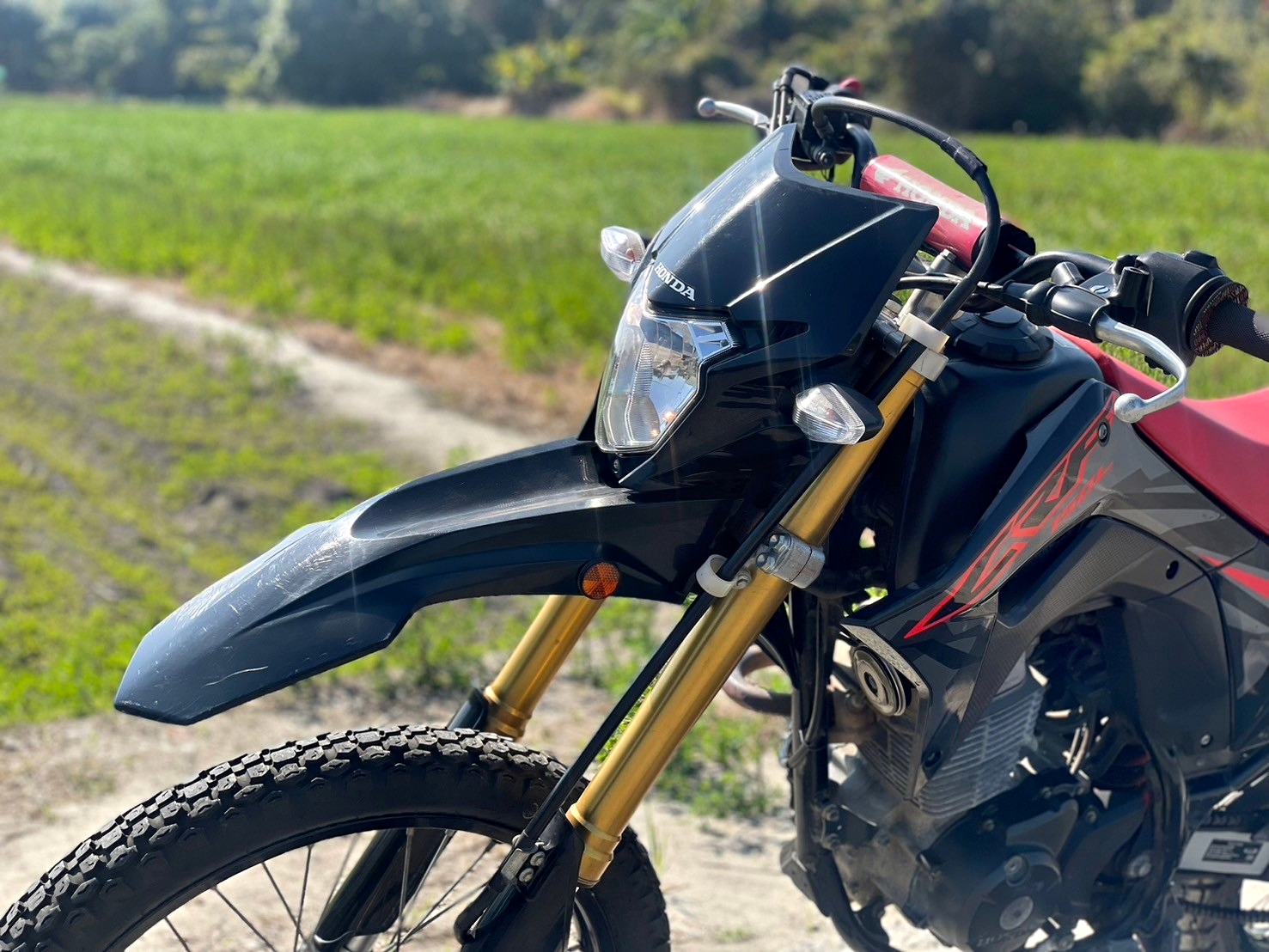 HONDA CRF150L - 中古/二手車出售中 為所欲為的林道小精靈 路的終點才是起點 | 武士重機-阿良