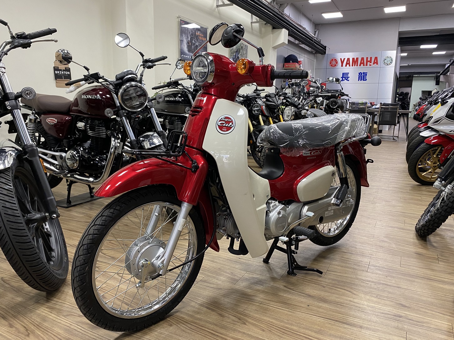 HONDA SuperCub 110新車出售中 【新竹長龍車業】HONDA 本田 2024 Super Cub 110 | 新竹長龍車業行