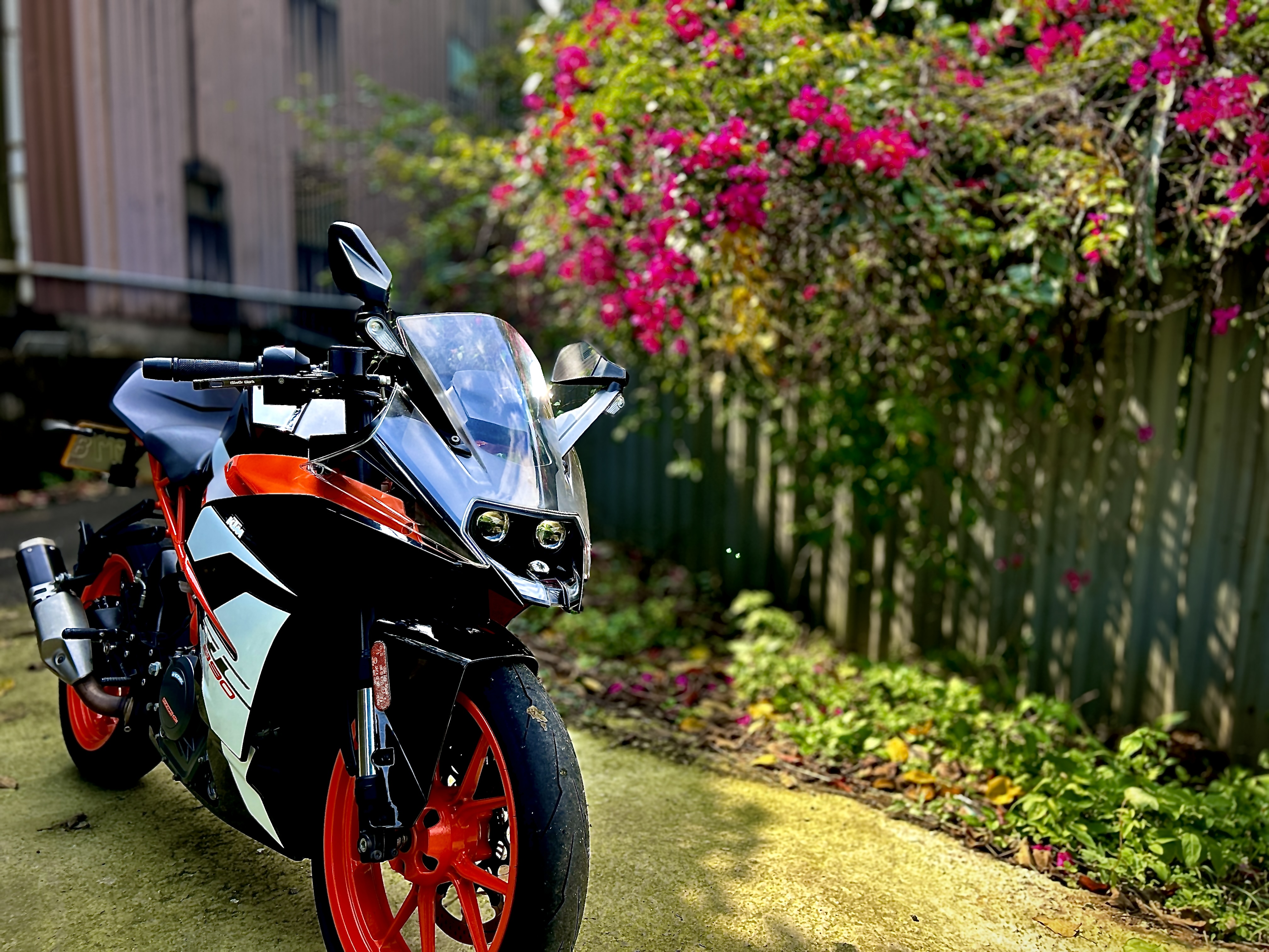 【個人自售】KTM RC390 - 「Webike-摩托車市」 2019 KTM RC390