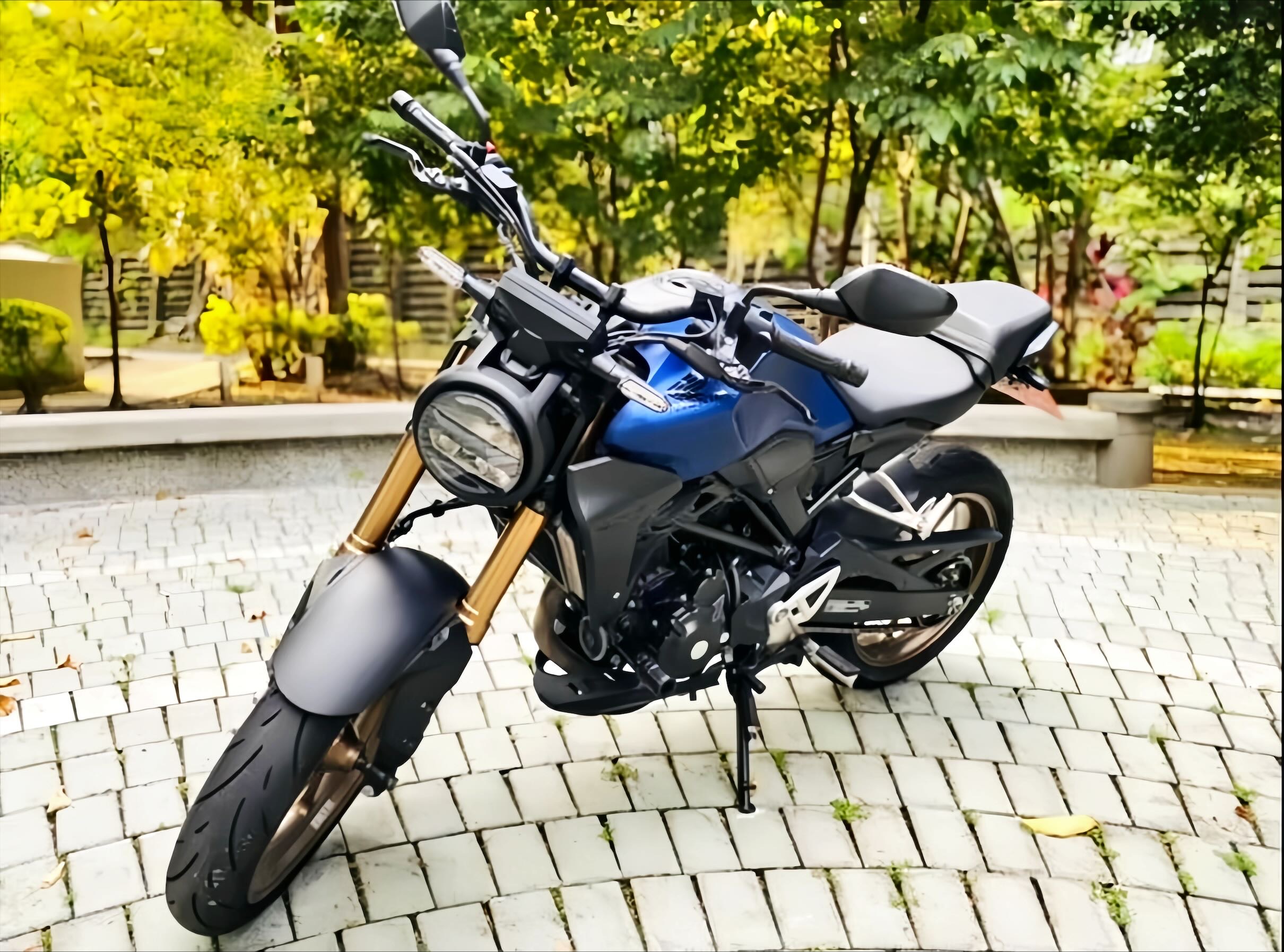 HONDA CB300R - 中古/二手車出售中 HONDA CB300R 2020領 黃牌打擋車 | 輪泰車業