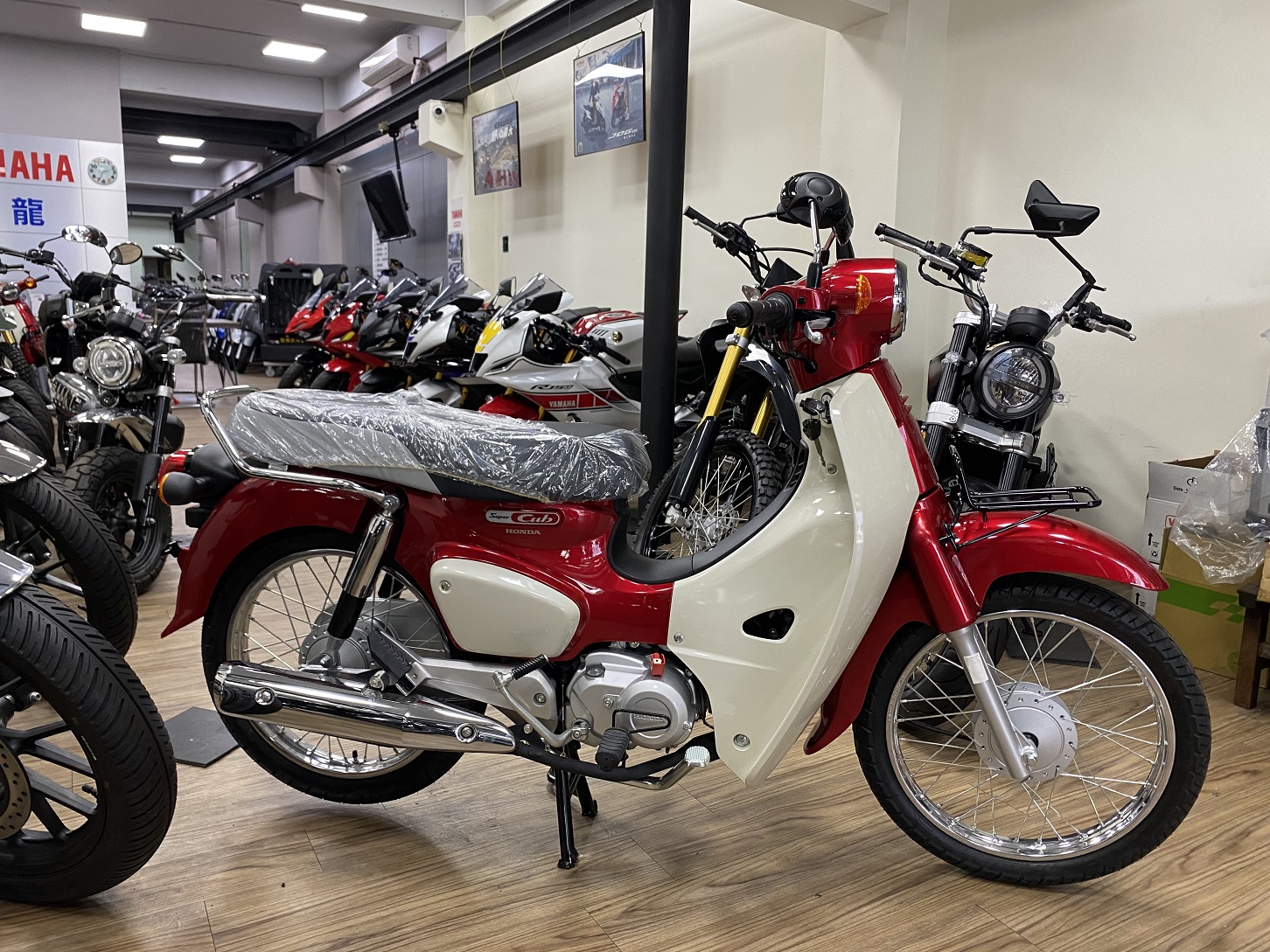 HONDA SuperCub 110新車出售中 【新竹長龍車業】HONDA 本田 2024 Super Cub 110 | 新竹長龍車業行