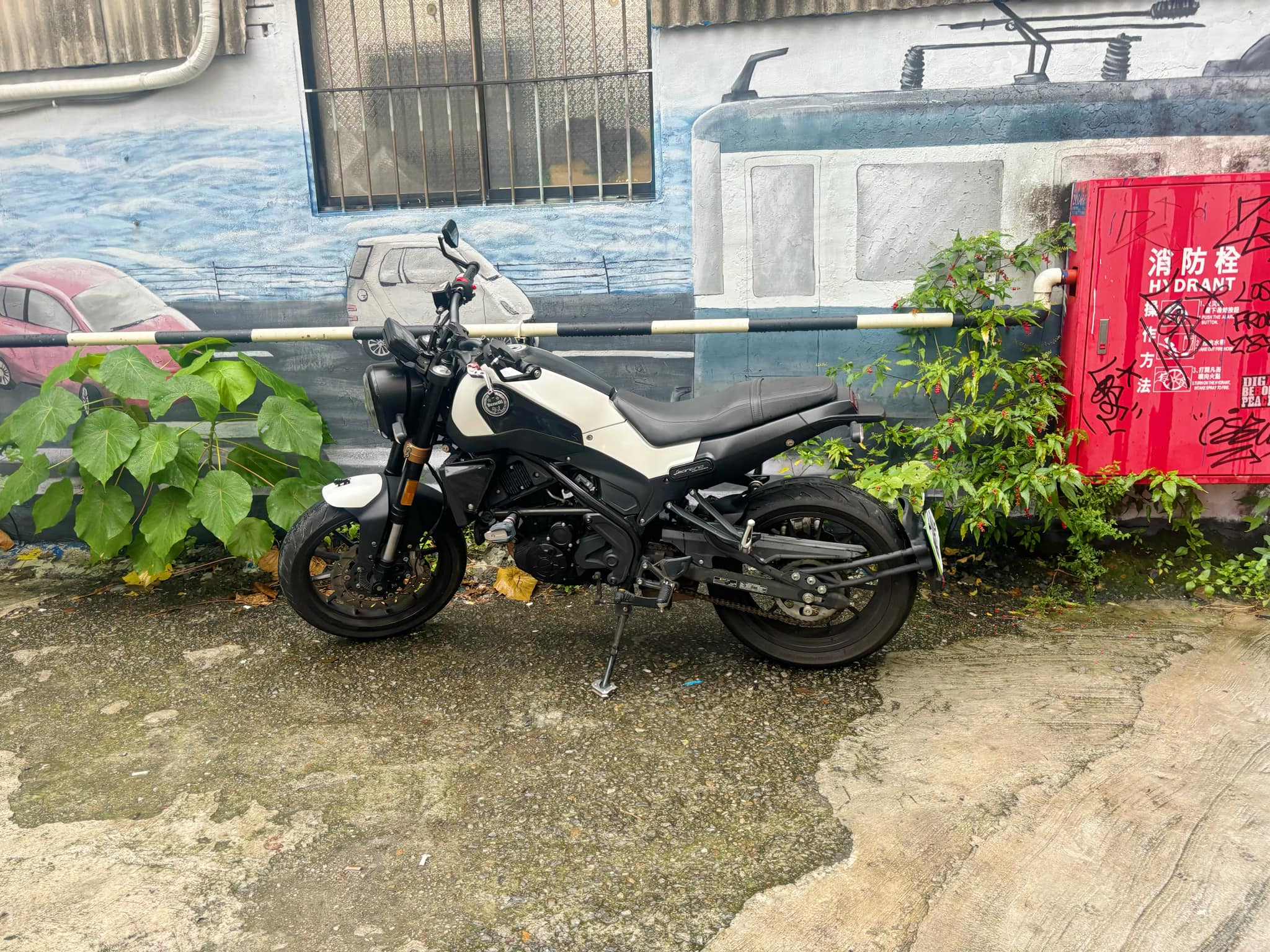 BENELLI Leoncino250 - 中古/二手車出售中 BENELLI LEONCINO 250 幼獅250 | 個人自售