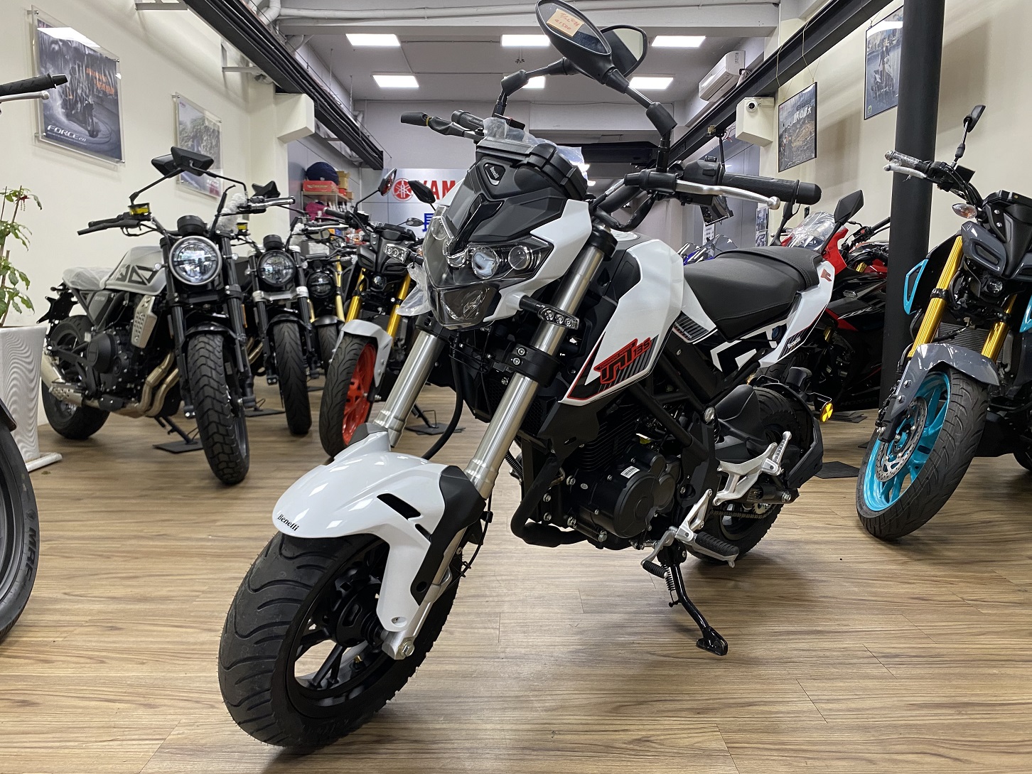 BENELLI TNT 135新車出售中 【新竹長龍車業】BENELLI TNT 135 | 新竹長龍車業行