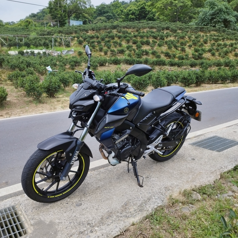 YAMAHA MT-15 - 中古/二手車出售中 【2019 YAMAHA MT-15】 | 翊帆國際重車