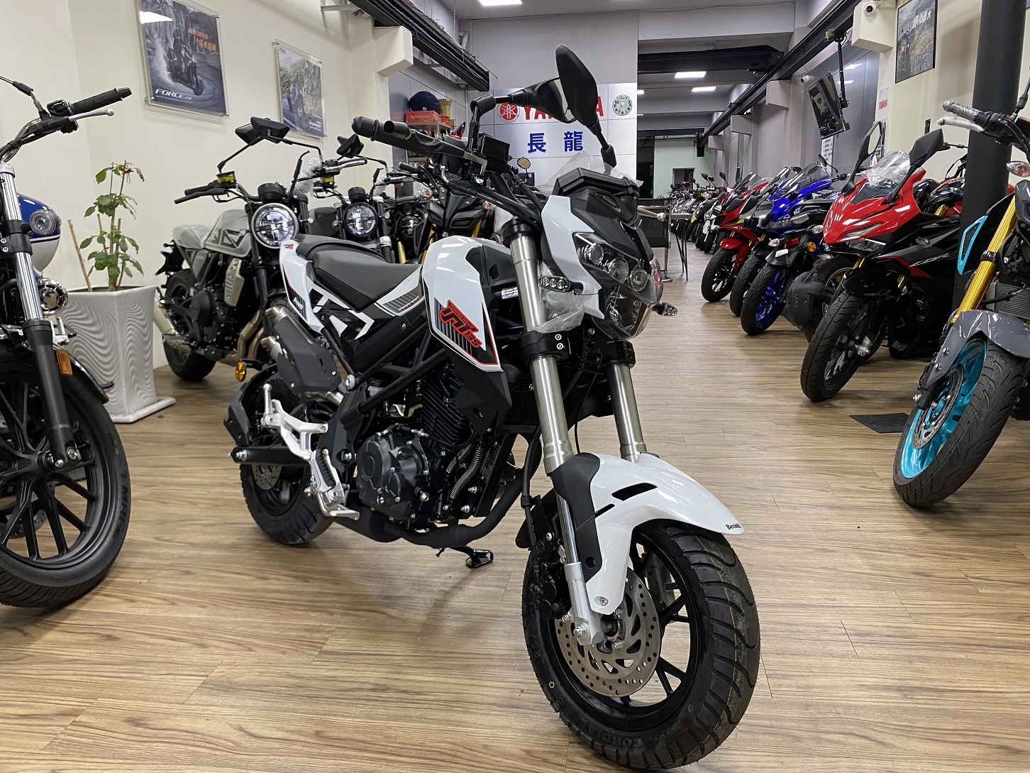 BENELLI TNT 135新車出售中 【新竹長龍車業】BENELLI TNT 135 | 新竹長龍車業行