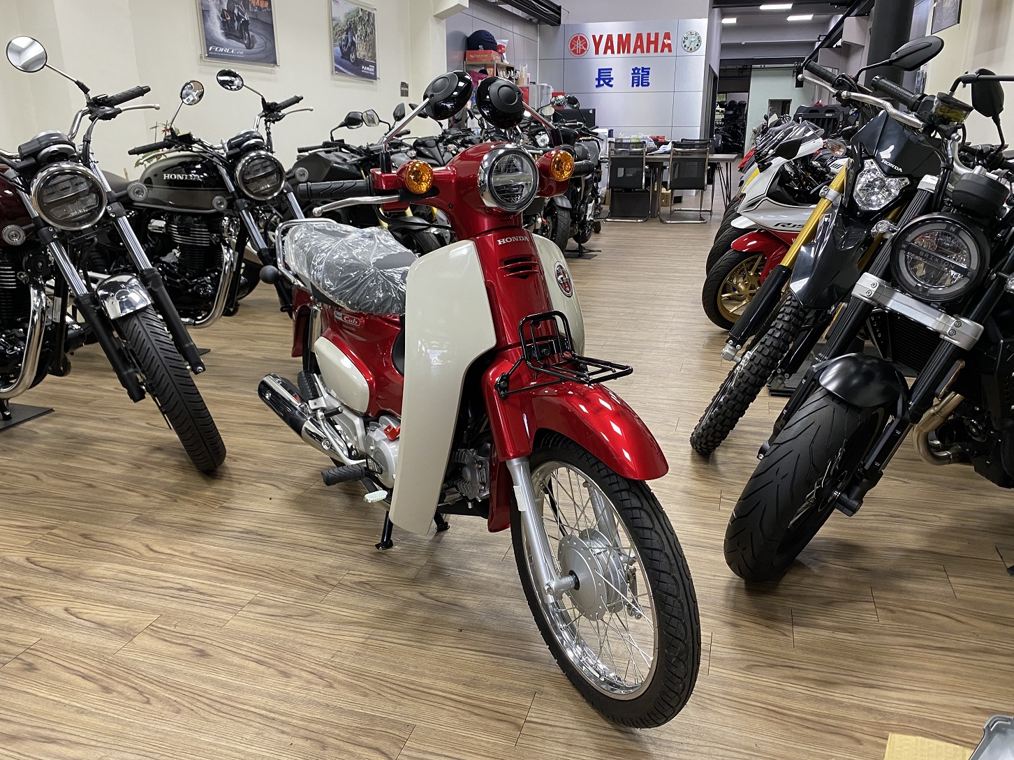 HONDA SuperCub 110新車出售中 【新竹長龍車業】HONDA 本田 2024 Super Cub 110 | 新竹長龍車業行