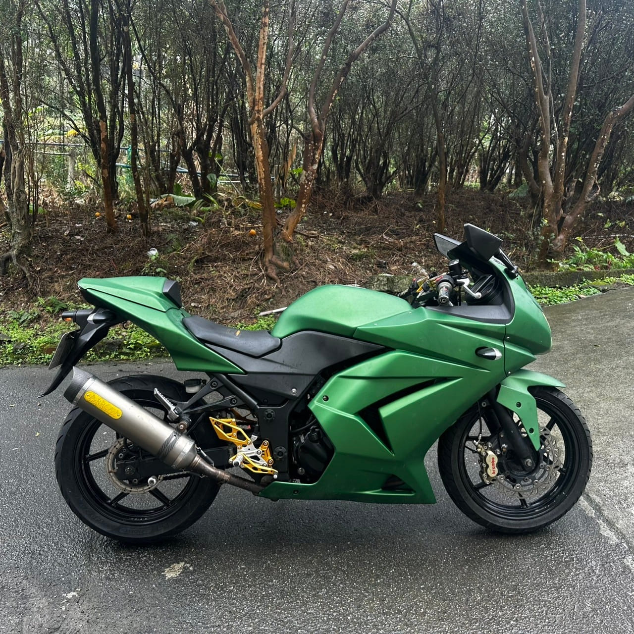 KAWASAKI NINJA250 - 中古/二手車出售中 2010年 KAWASAKI NINJA250/0元交車/分期貸款/車換車/線上賞車/到府交車 | 翊帆國際重車