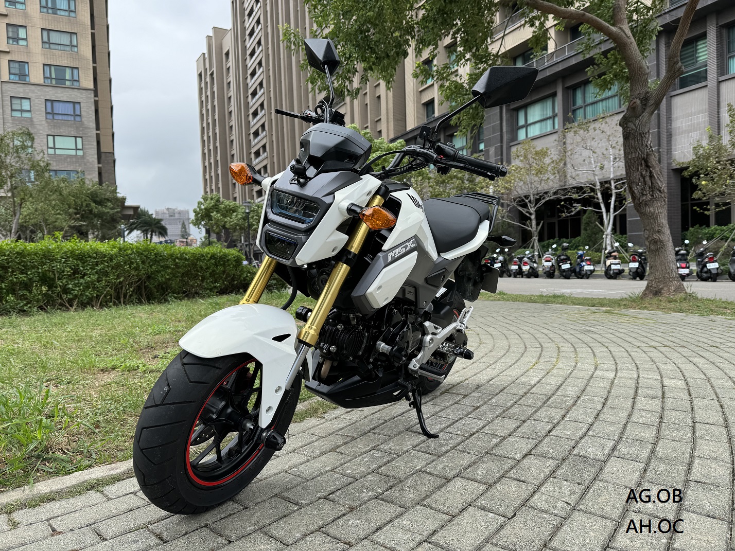 【新竹長龍車業行】HONDA MSX 125 - 「Webike-摩托車市」 【新竹長龍車業】HONDA 本田 MSX 125