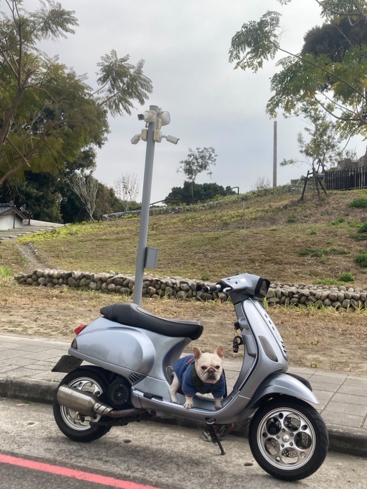 VESPA Vespa LX125 4T - 中古/二手車出售中 良好保養，電鍍外殼，路上最吸睛 | 個人自售