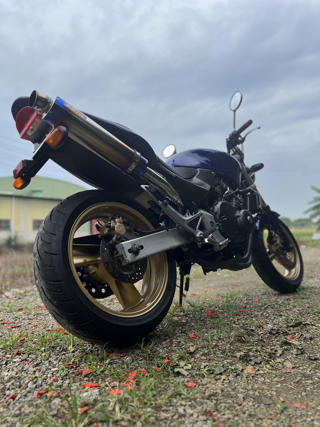 HONDA HORNET250 - 中古/二手車出售中 HONDA HORNET250 經典小黃蜂 | 個人自售