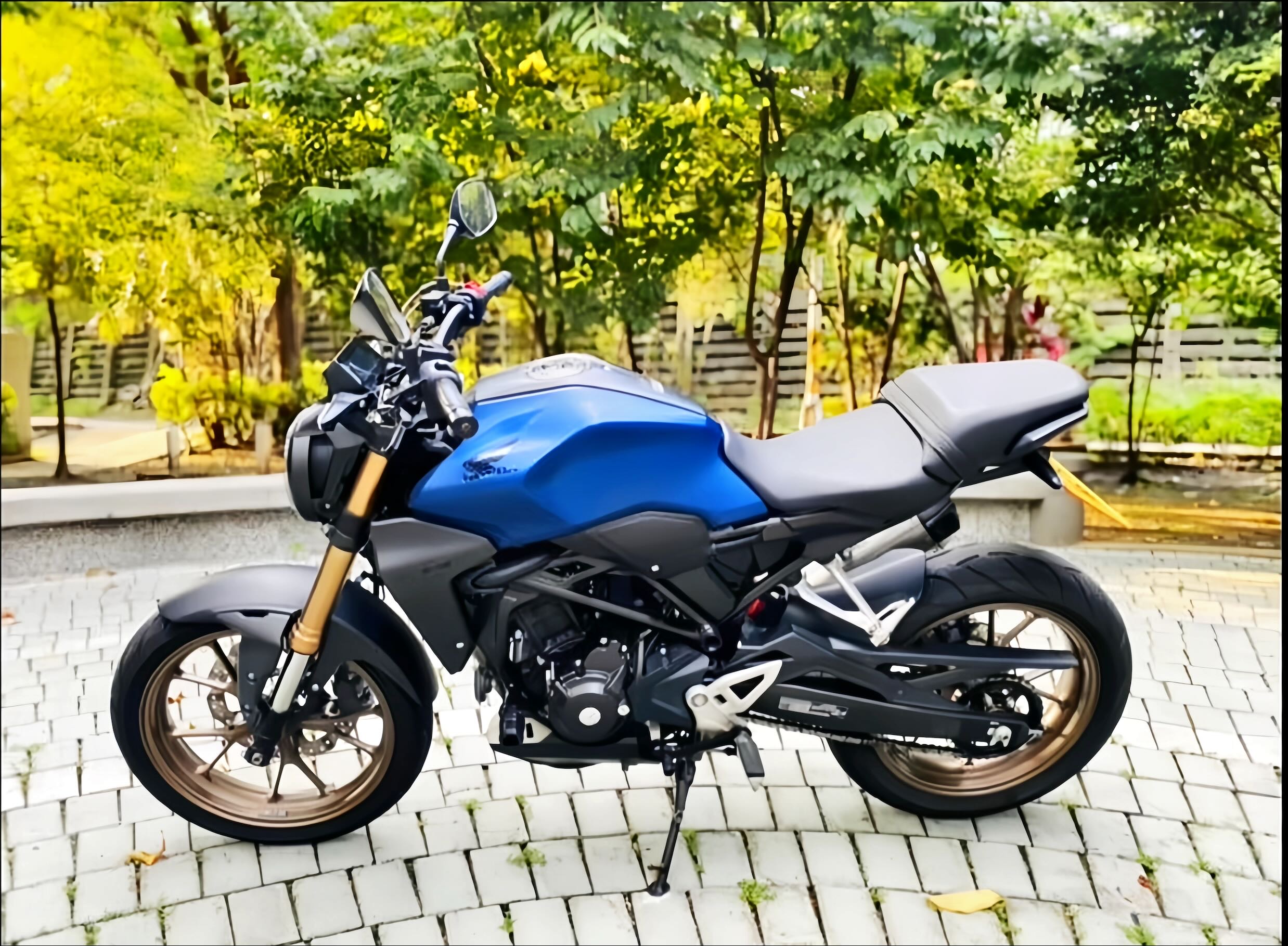 HONDA CB300R - 中古/二手車出售中 HONDA CB300R 2020領 黃牌打擋車 | 輪泰車業