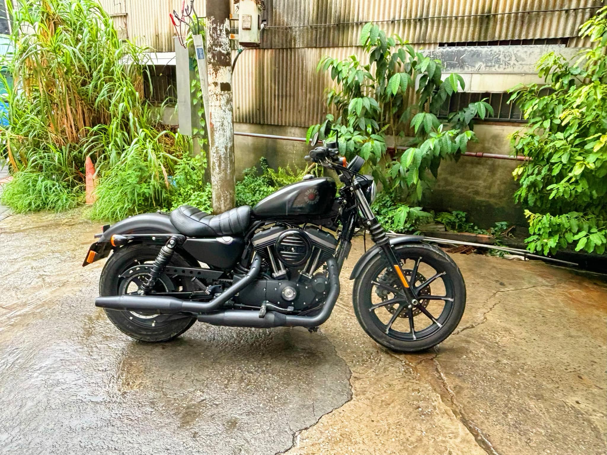 HARLEY-DAVIDSON XL883N - 中古/二手車出售中 HARLEY-DAVIDSON XL883N 公司車 | 個人自售