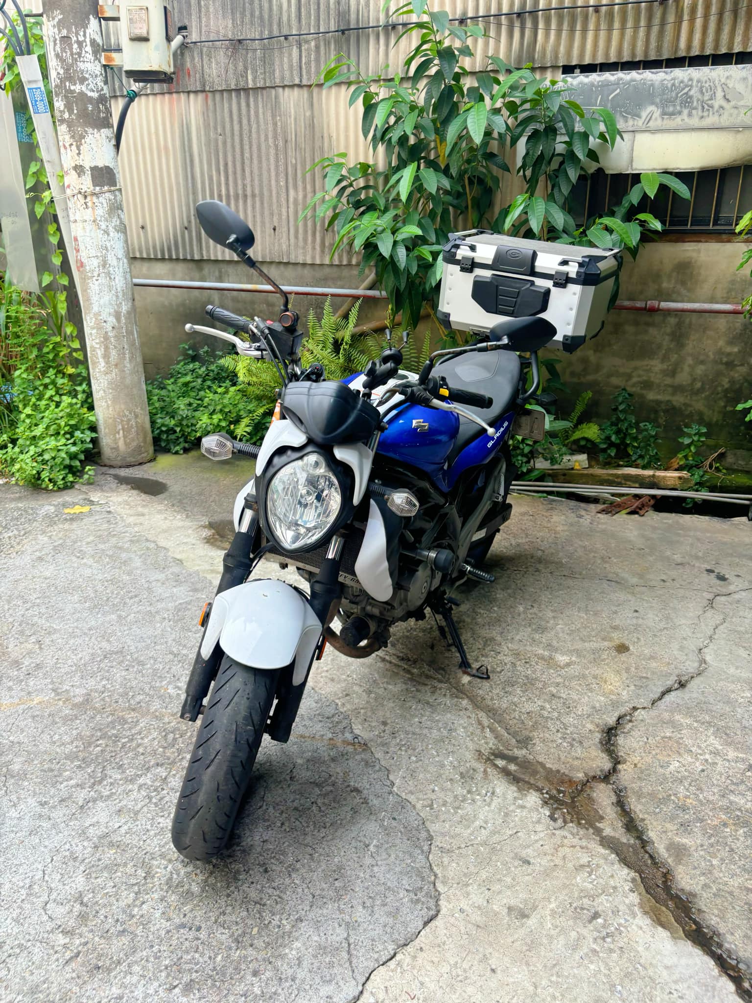 【個人自售】SUZUKI  SFV650A - 「Webike-摩托車市」 SUZUKI SFV650A