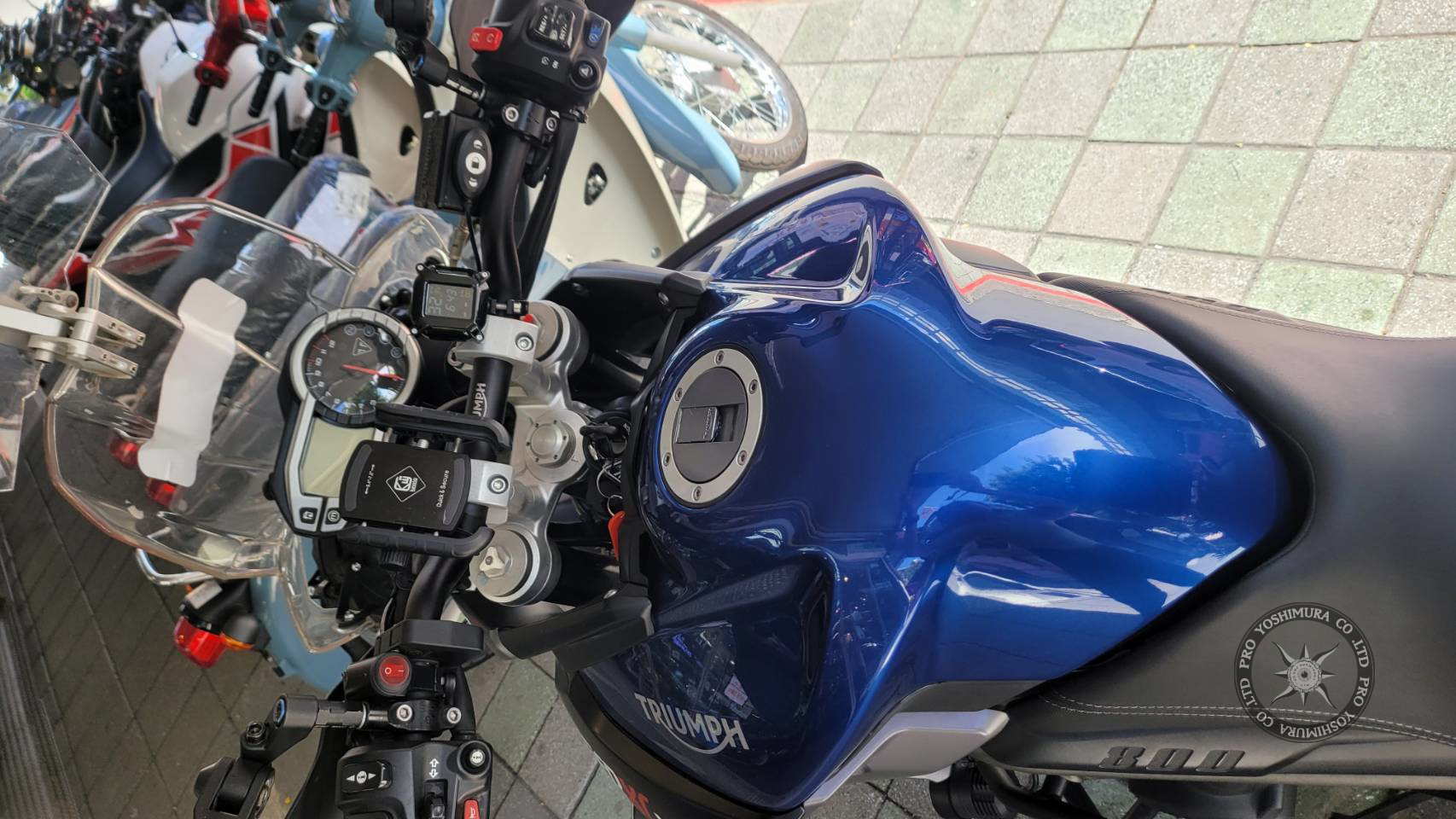 TRIUMPH TIGER800 - 中古/二手車出售中 【普洛吉村】 中古車 凱旋 TIGER 800--(2016/4-- 19292 KM)-請先聊聊.托運費 請別理會 | proyoshimura 普洛吉村