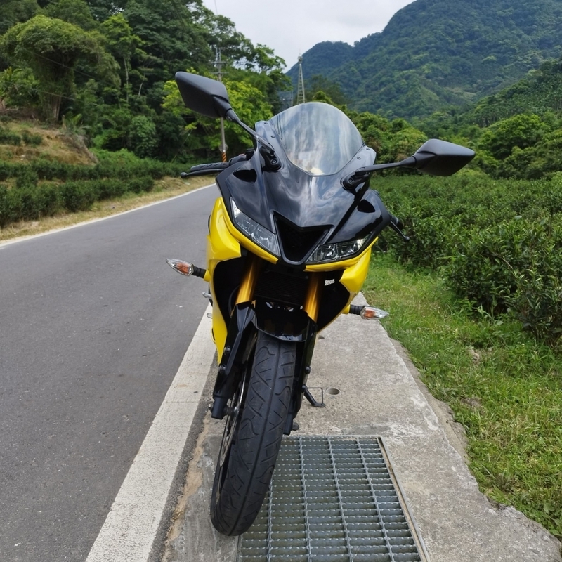 YAMAHA YZF-R15 - 中古/二手車出售中 【2019 YAMAHA YZF-R15V3】 | 翊帆國際重車