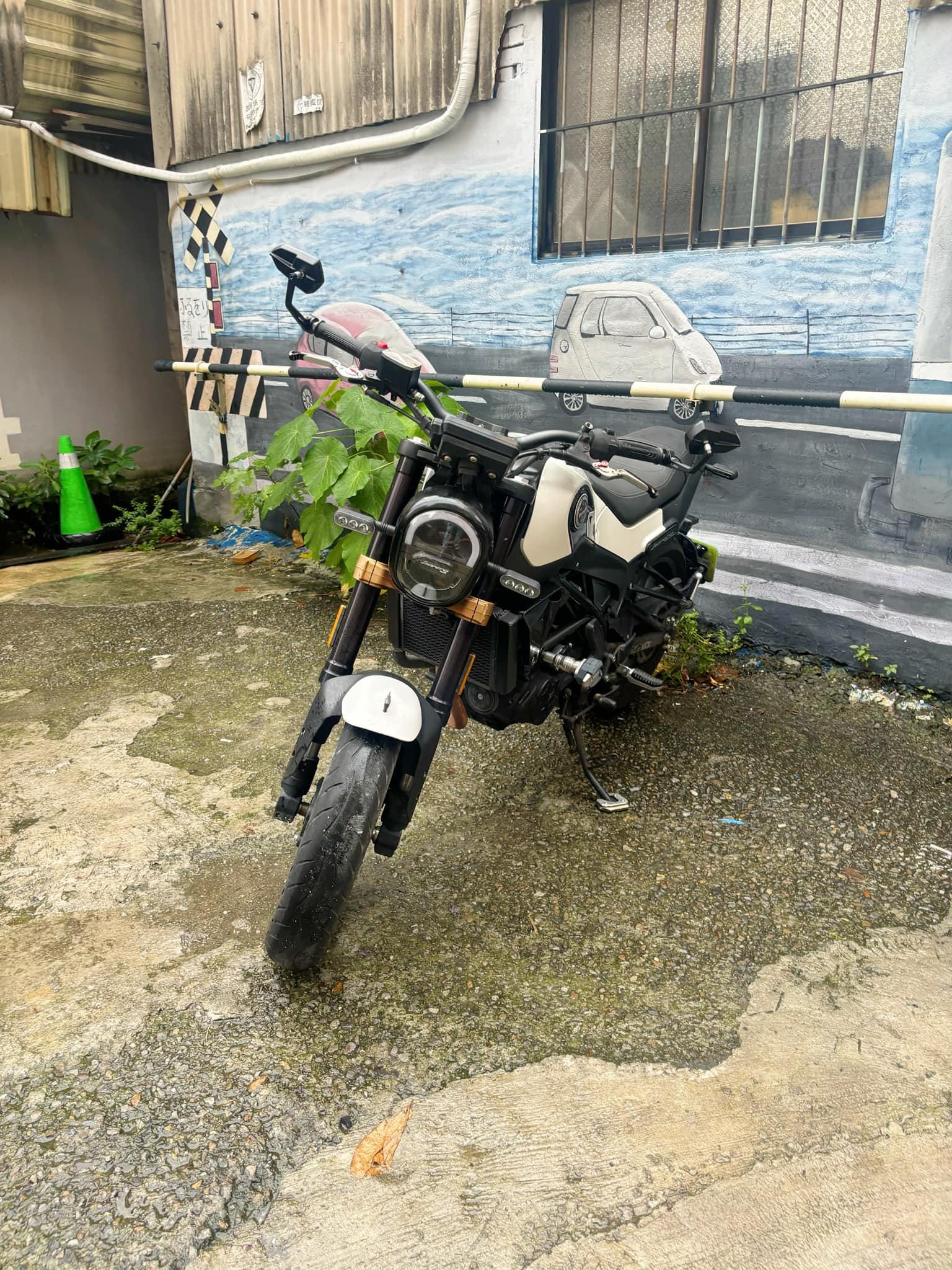 BENELLI Leoncino250 - 中古/二手車出售中 BENELLI LEONCINO 250 幼獅250 | 個人自售