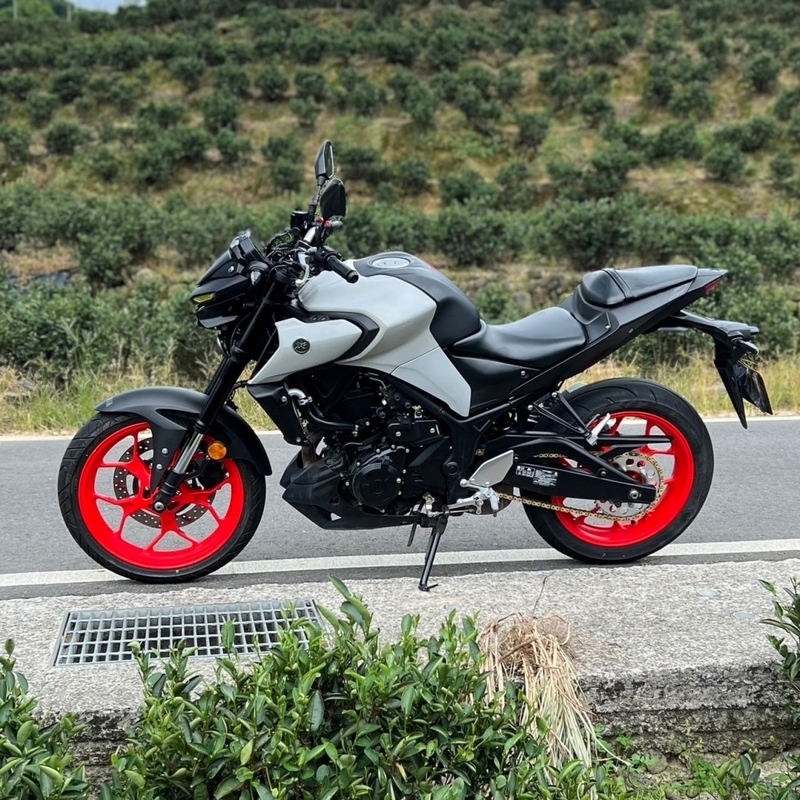 YAMAHA MT-03 - 中古/二手車出售中 【2020 YAMAHA MT-03】 | 翊帆國際重車