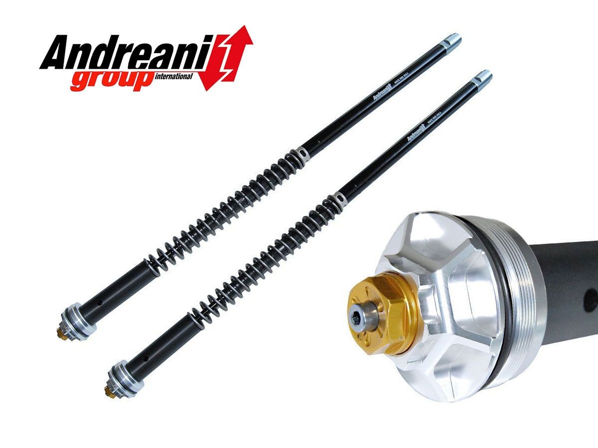 Andreani 【OUTLET出清商品】強化可調式油壓阻尼套件 Z1000SX (11-19) [105/K34E]